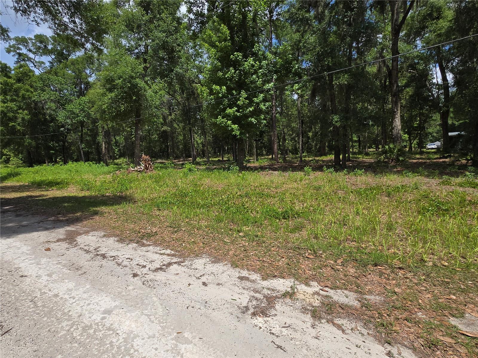 Land at 0 SW 15TH PL, OCALA, photo 4 of 5