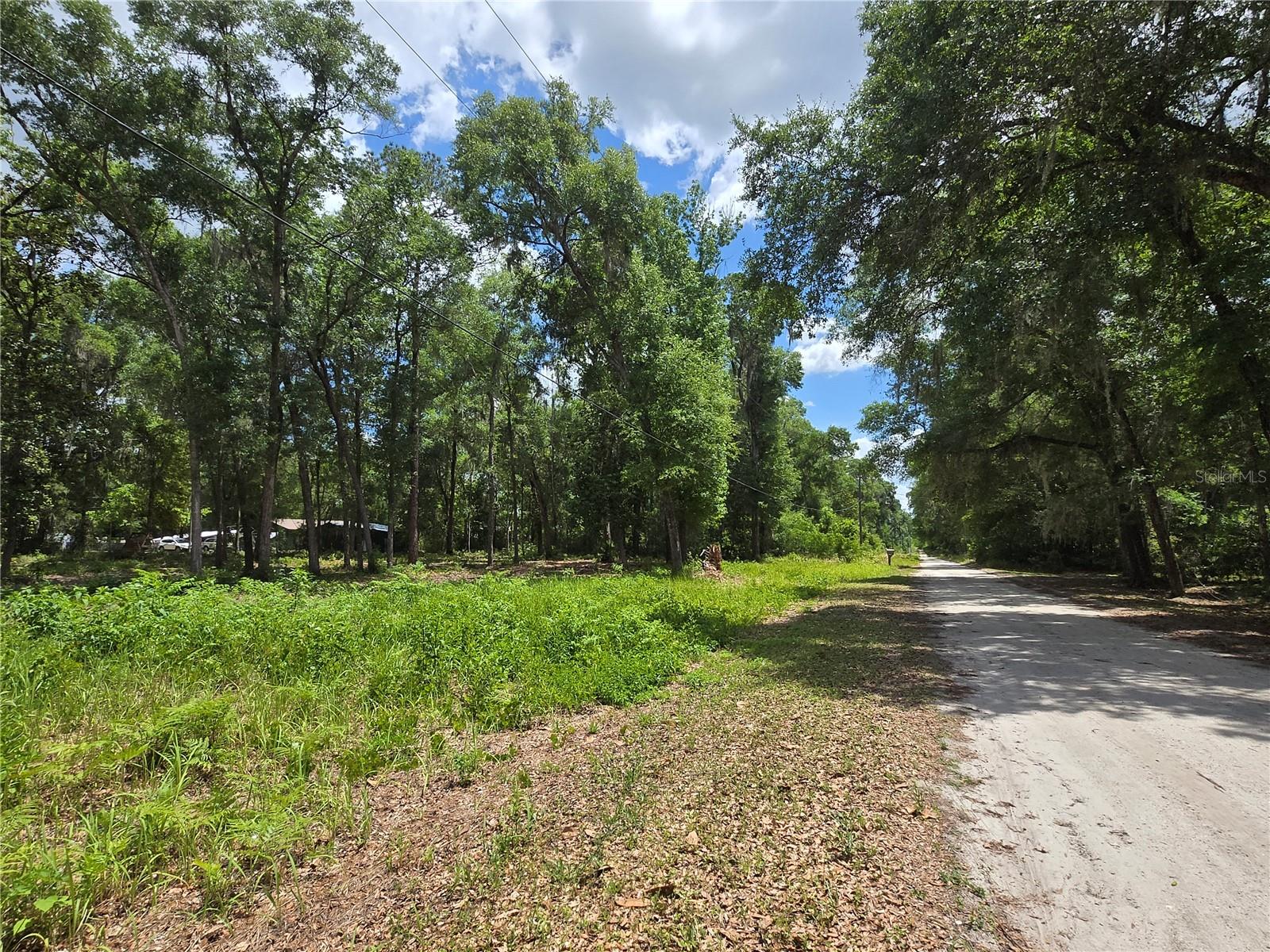 Land at 0 SW 15TH PL, OCALA, photo 5 of 5