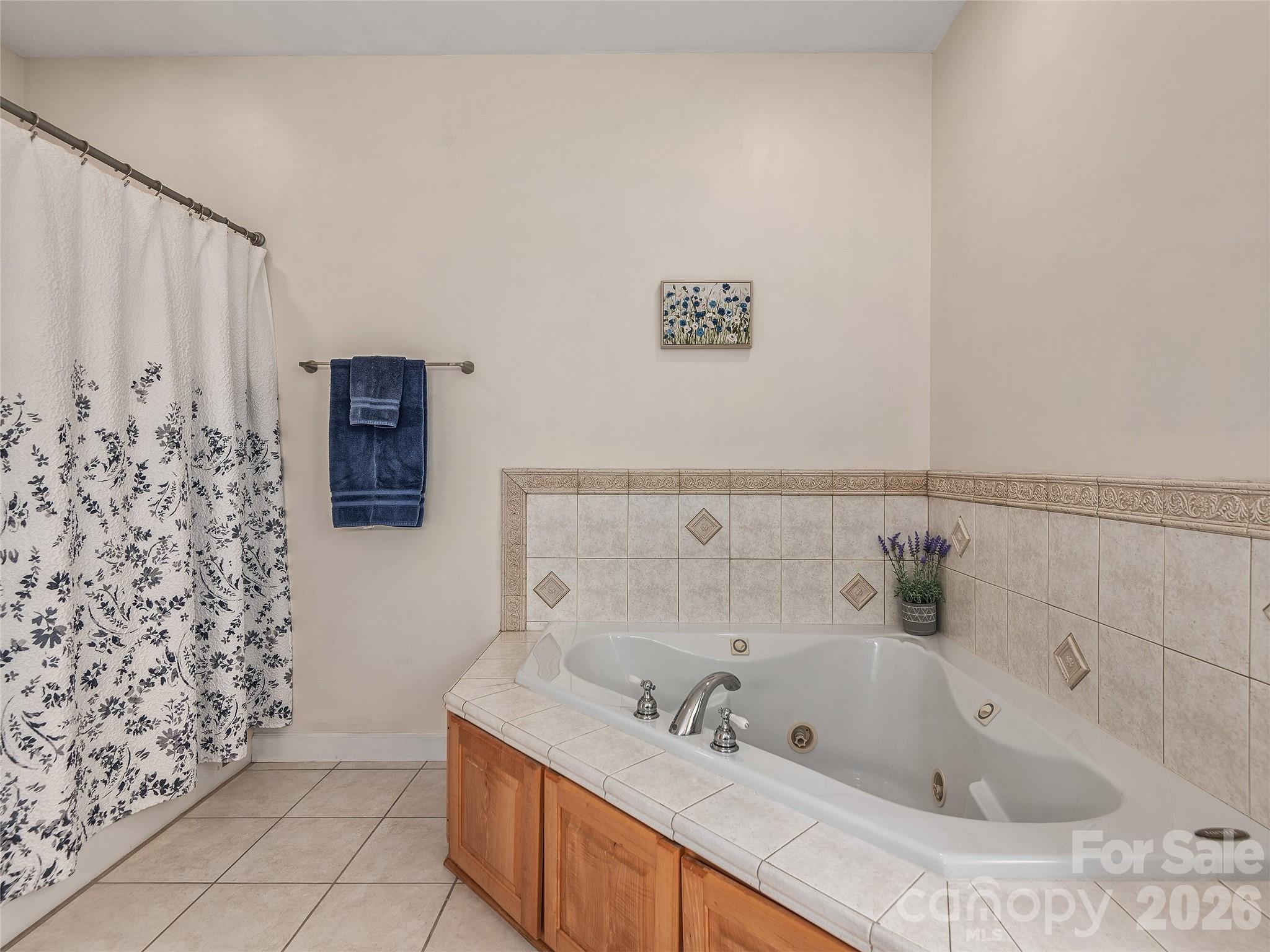 Single Family Residence at 232 Wild Haven Way, Mill Spring, photo 20 of 33