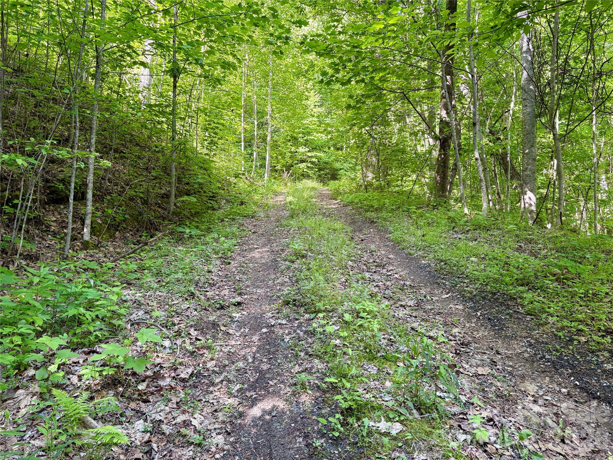 Acreage at 0 Carpenter Road, Bryson City, photo 8 of 32