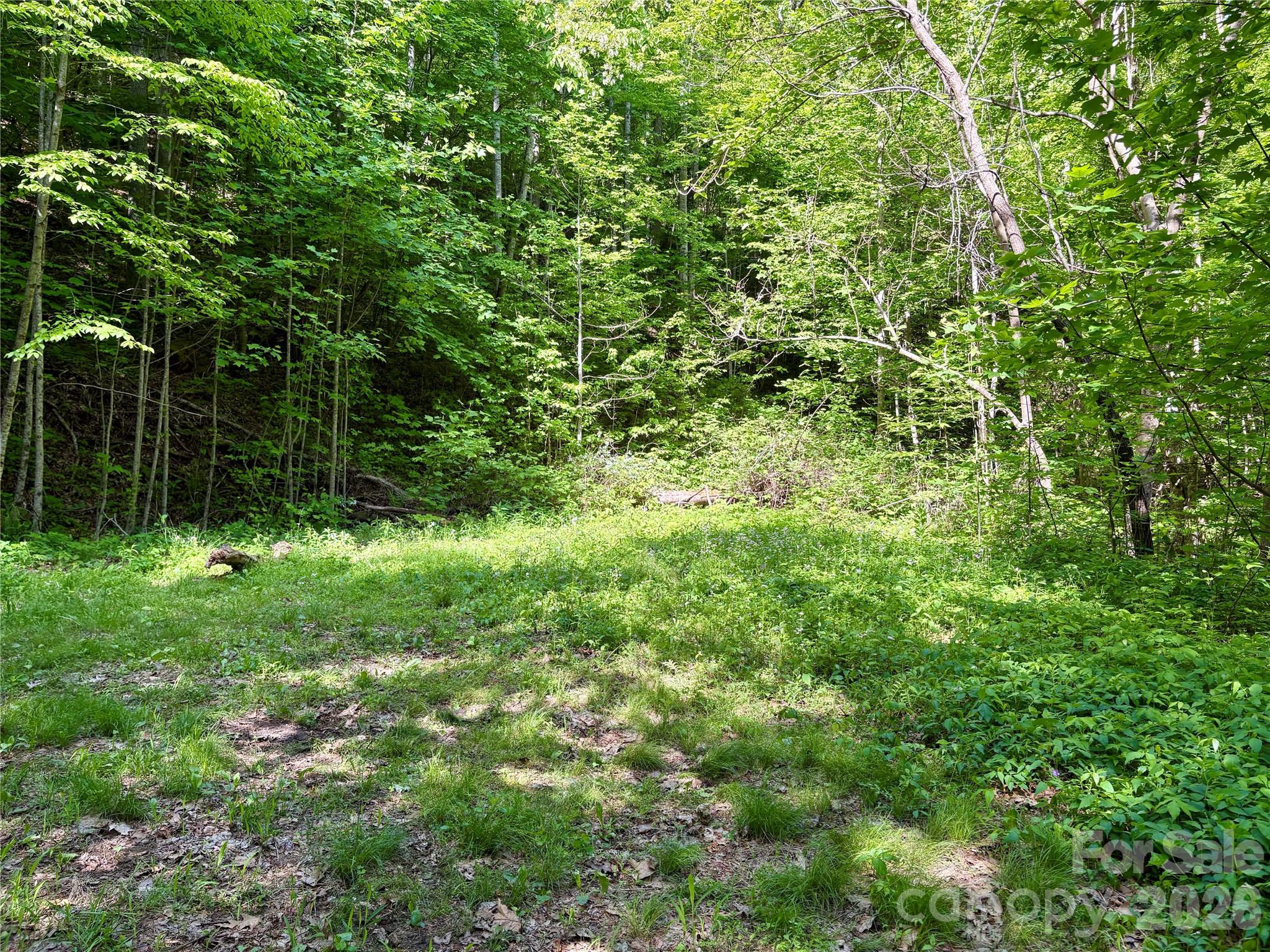 Acreage at 0 Carpenter Road, Bryson City, photo 11 of 32
