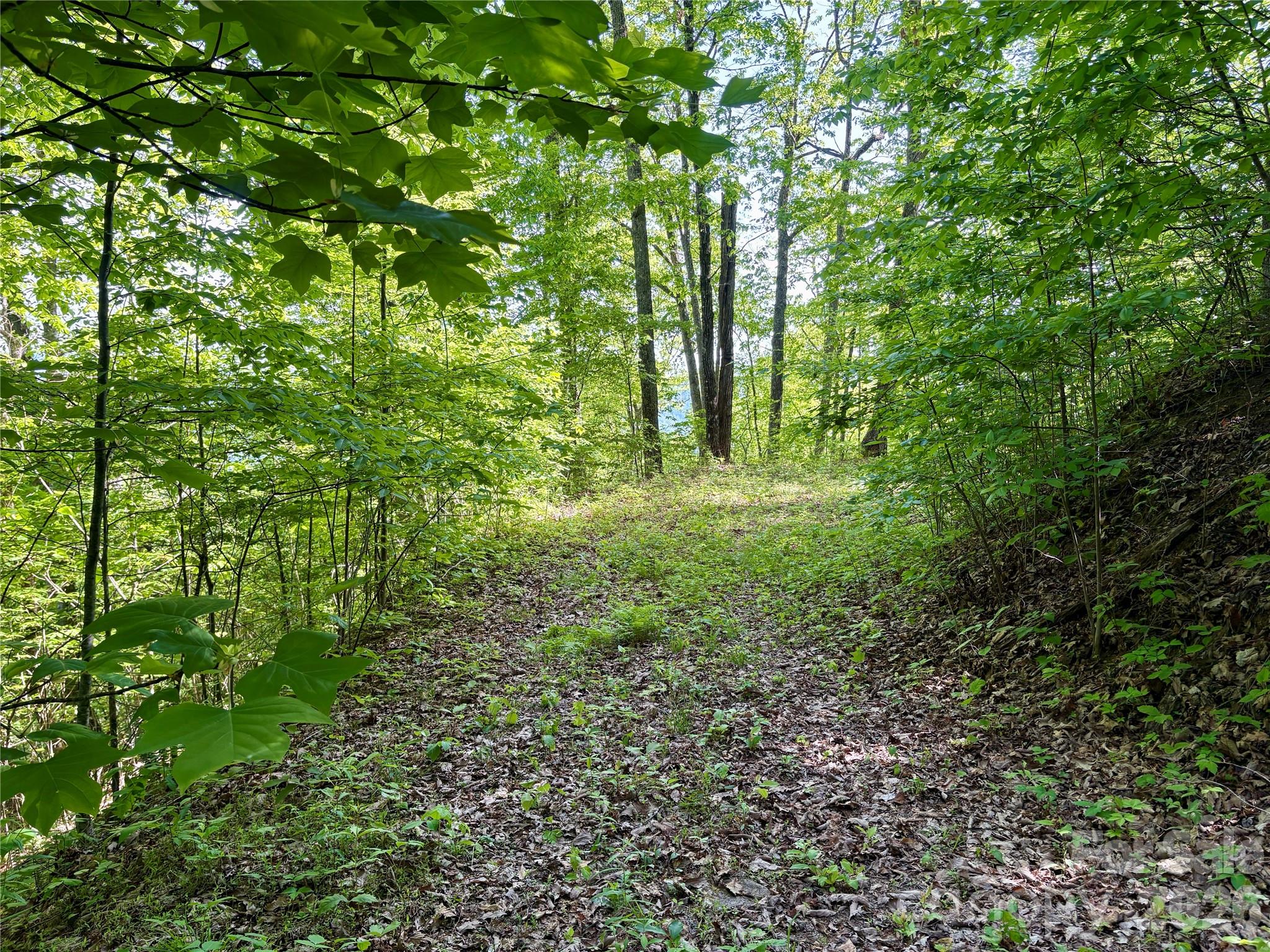 Acreage at 0 Carpenter Road, Bryson City, photo 13 of 32