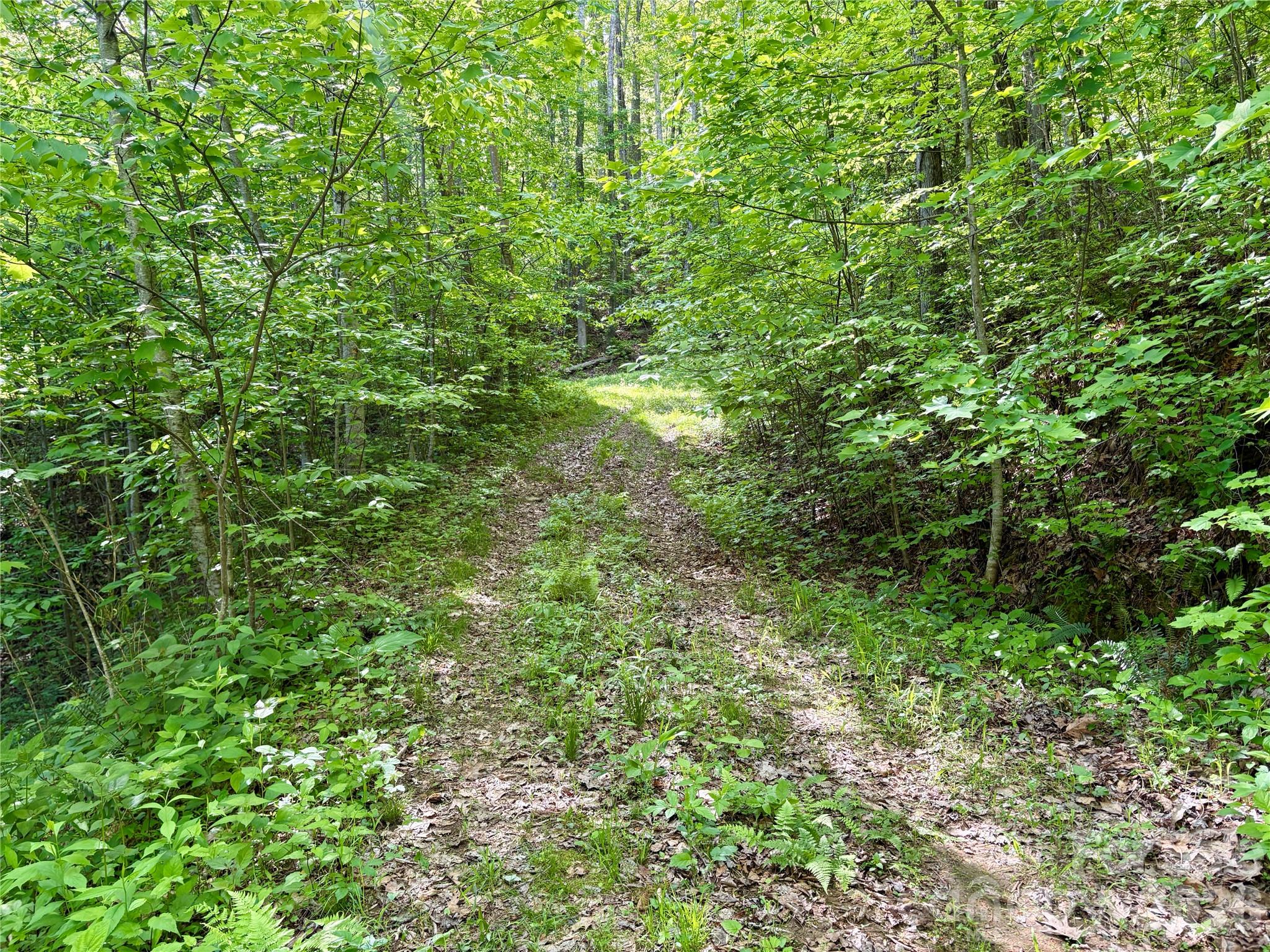Acreage at 0 Carpenter Road, Bryson City, photo 14 of 32