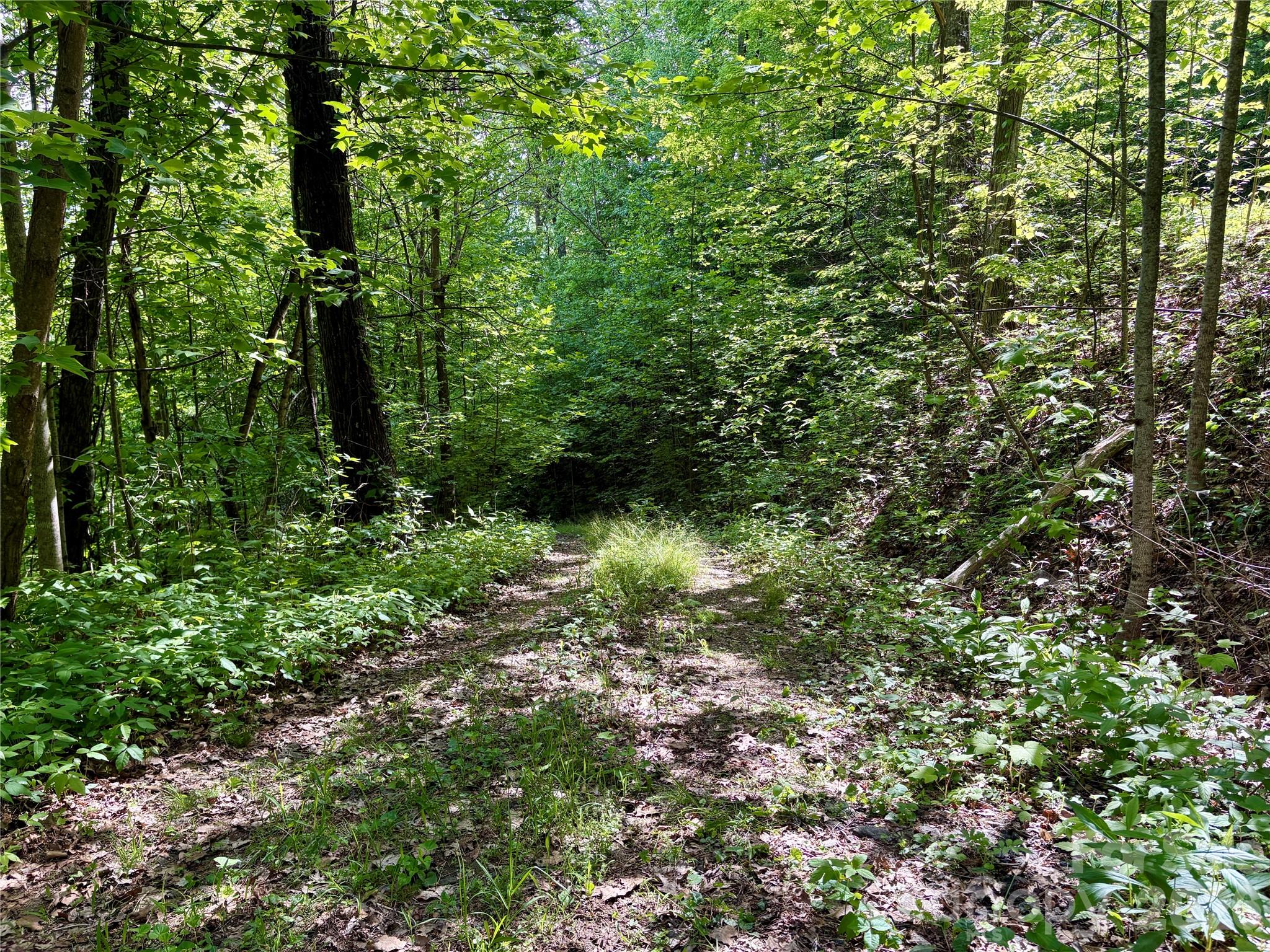 Acreage at 0 Carpenter Road, Bryson City, photo 16 of 32