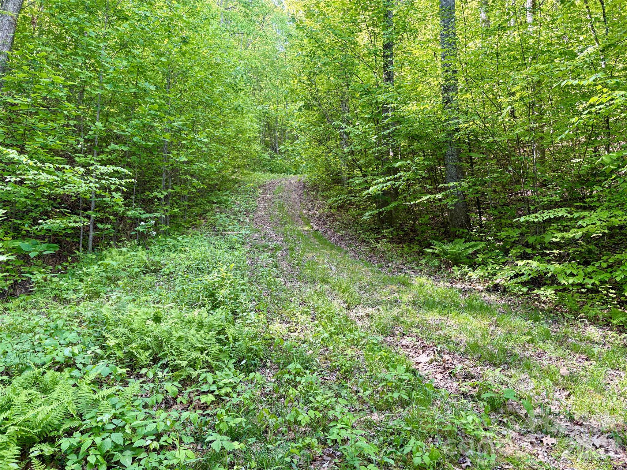 Acreage at 0 Carpenter Road, Bryson City, photo 18 of 32