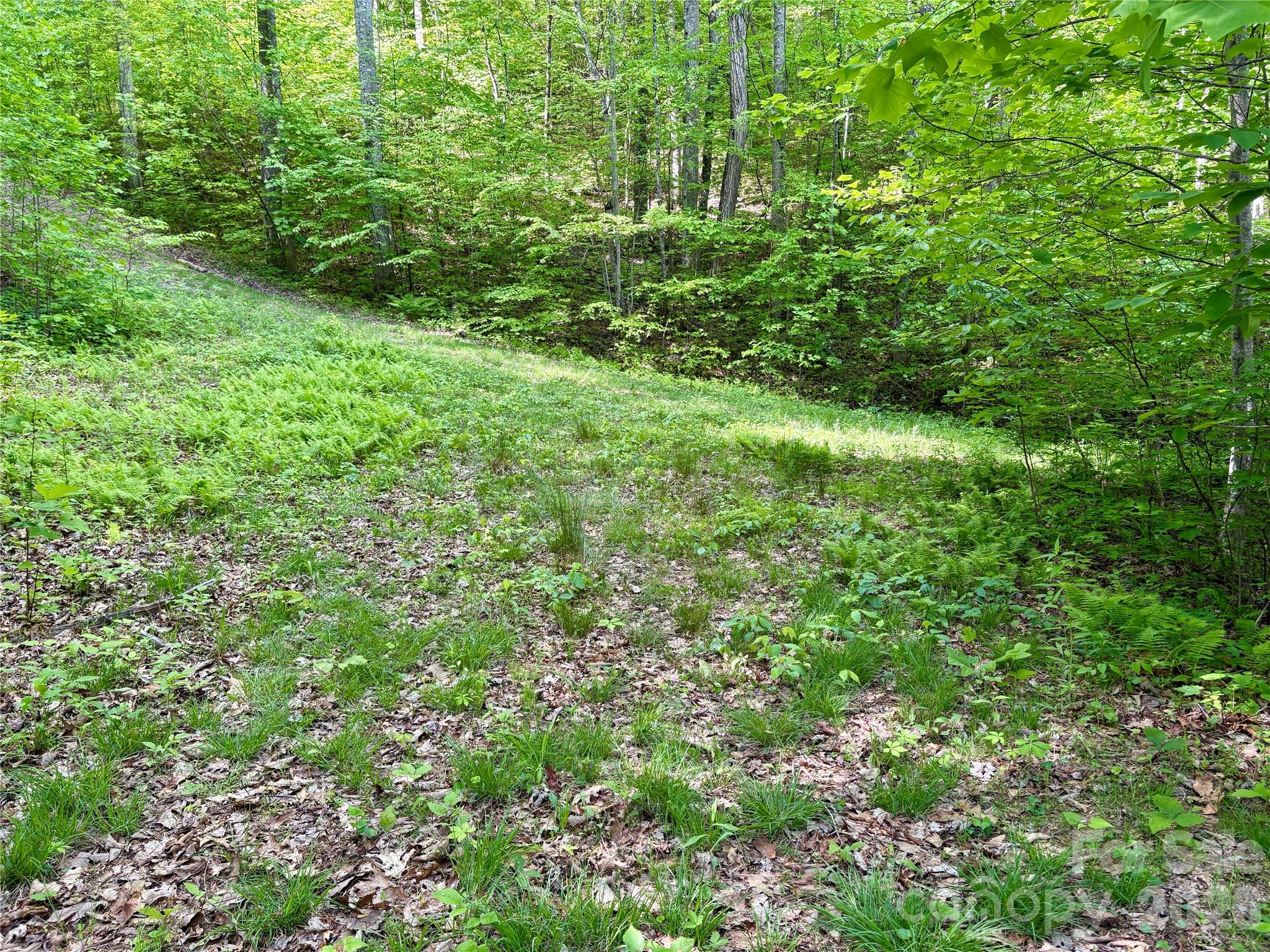 Acreage at 0 Carpenter Road, Bryson City, photo 20 of 32