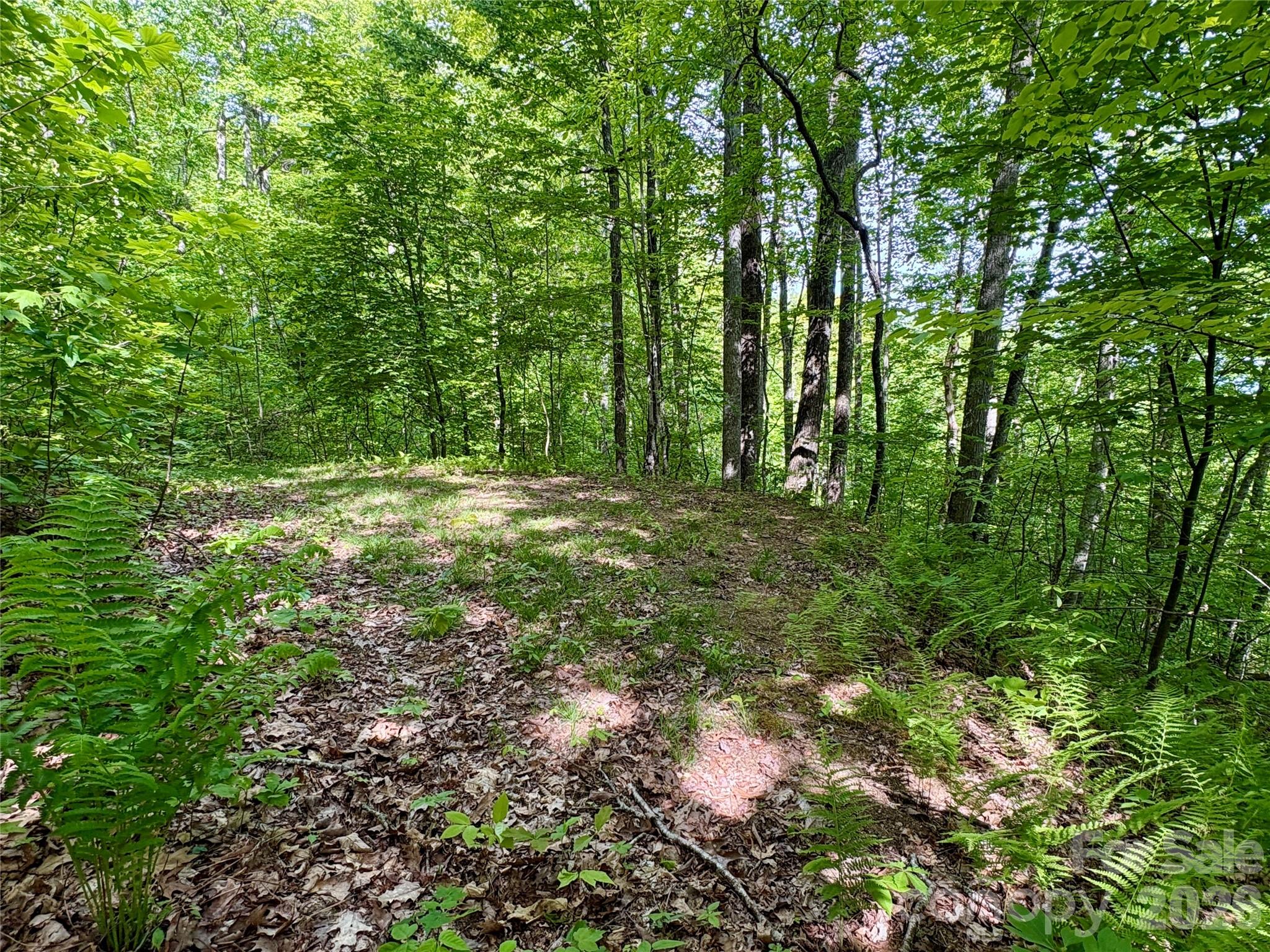 Acreage at 0 Carpenter Road, Bryson City, photo 21 of 32