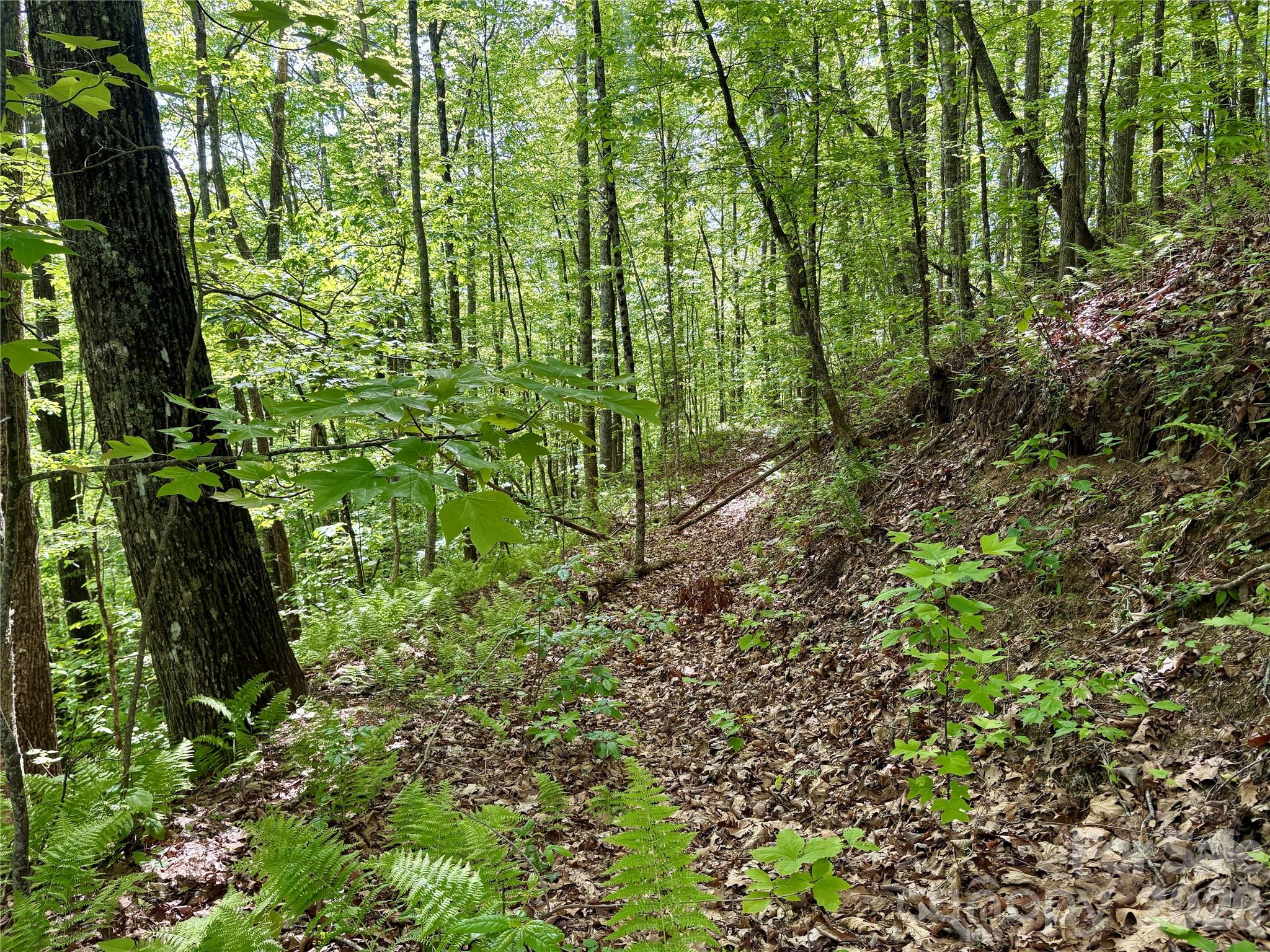 Acreage at 0 Carpenter Road, Bryson City, photo 22 of 32
