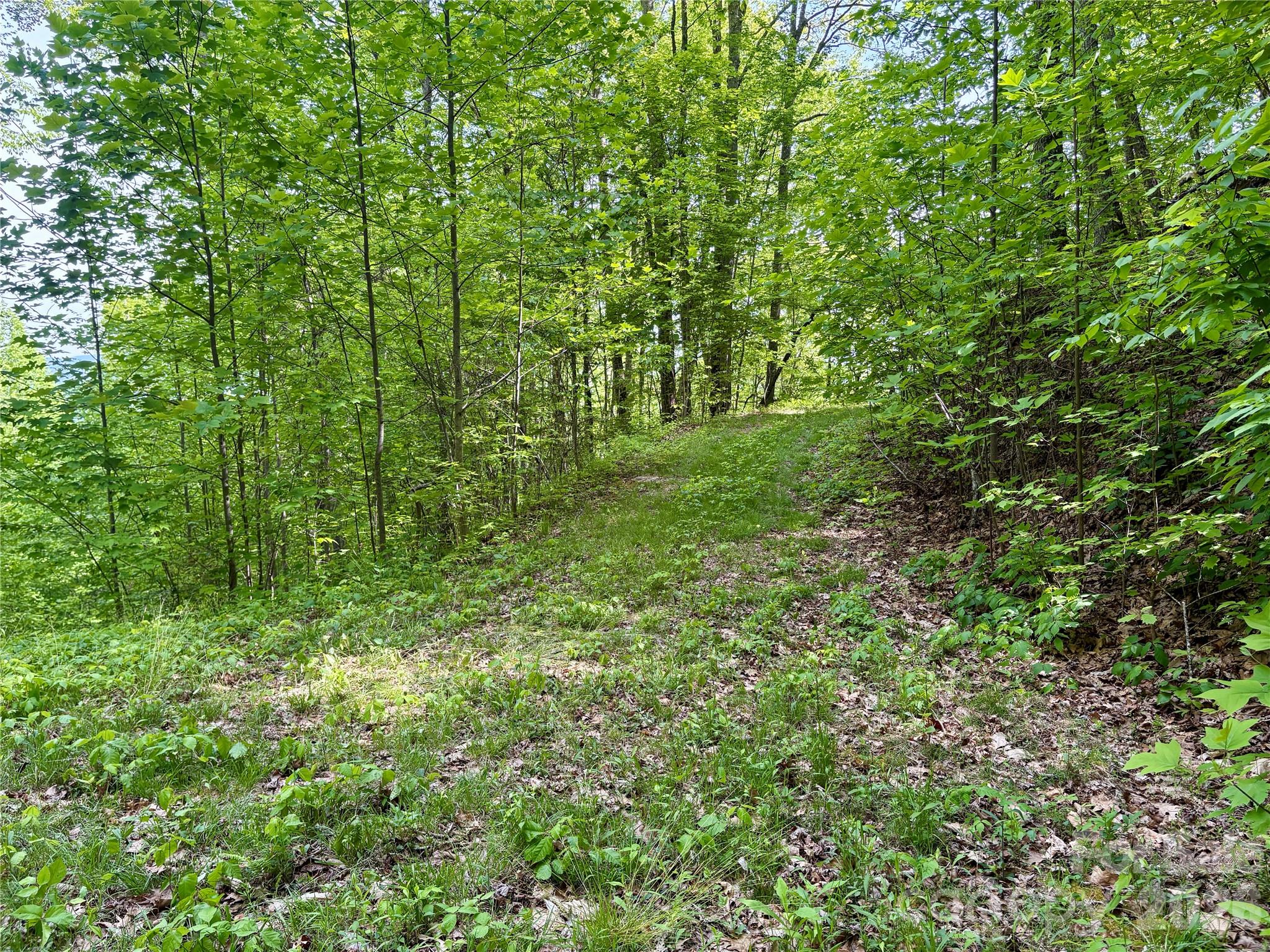 Acreage at 0 Carpenter Road, Bryson City, photo 23 of 32