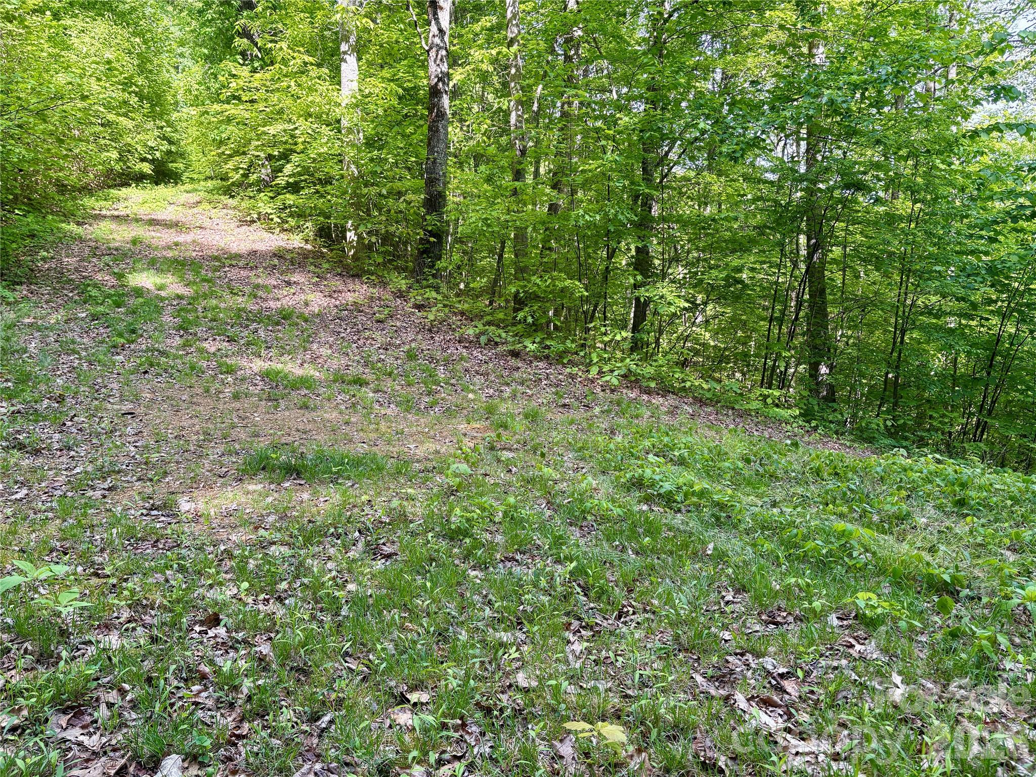 Acreage at 0 Carpenter Road, Bryson City, photo 24 of 32