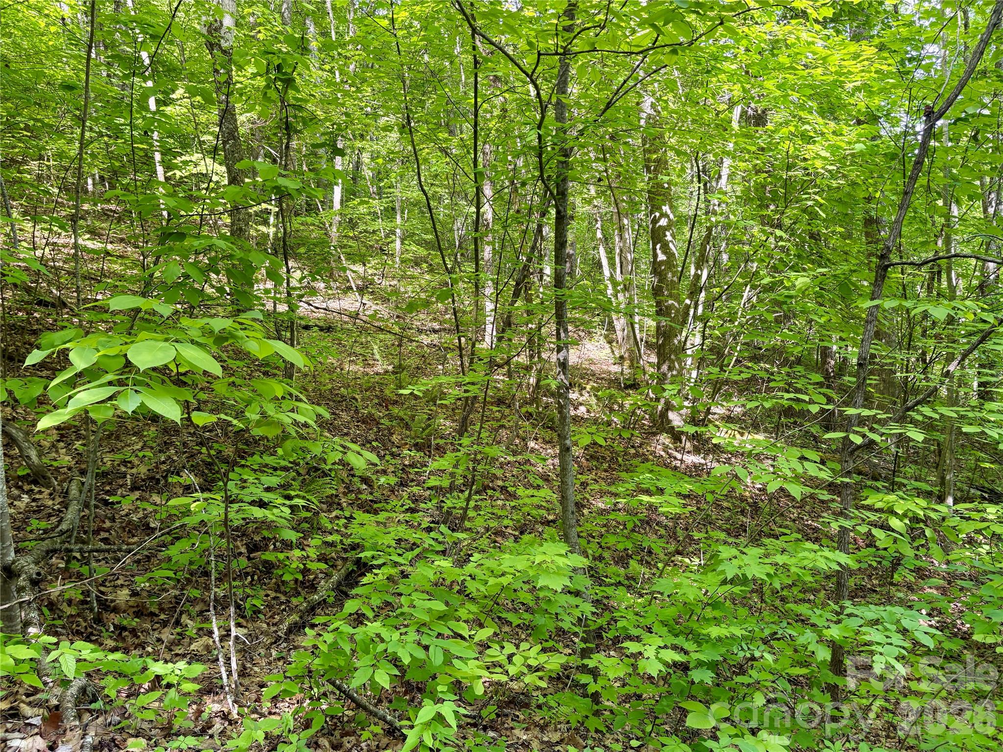 Acreage at 0 Carpenter Road, Bryson City, photo 25 of 32