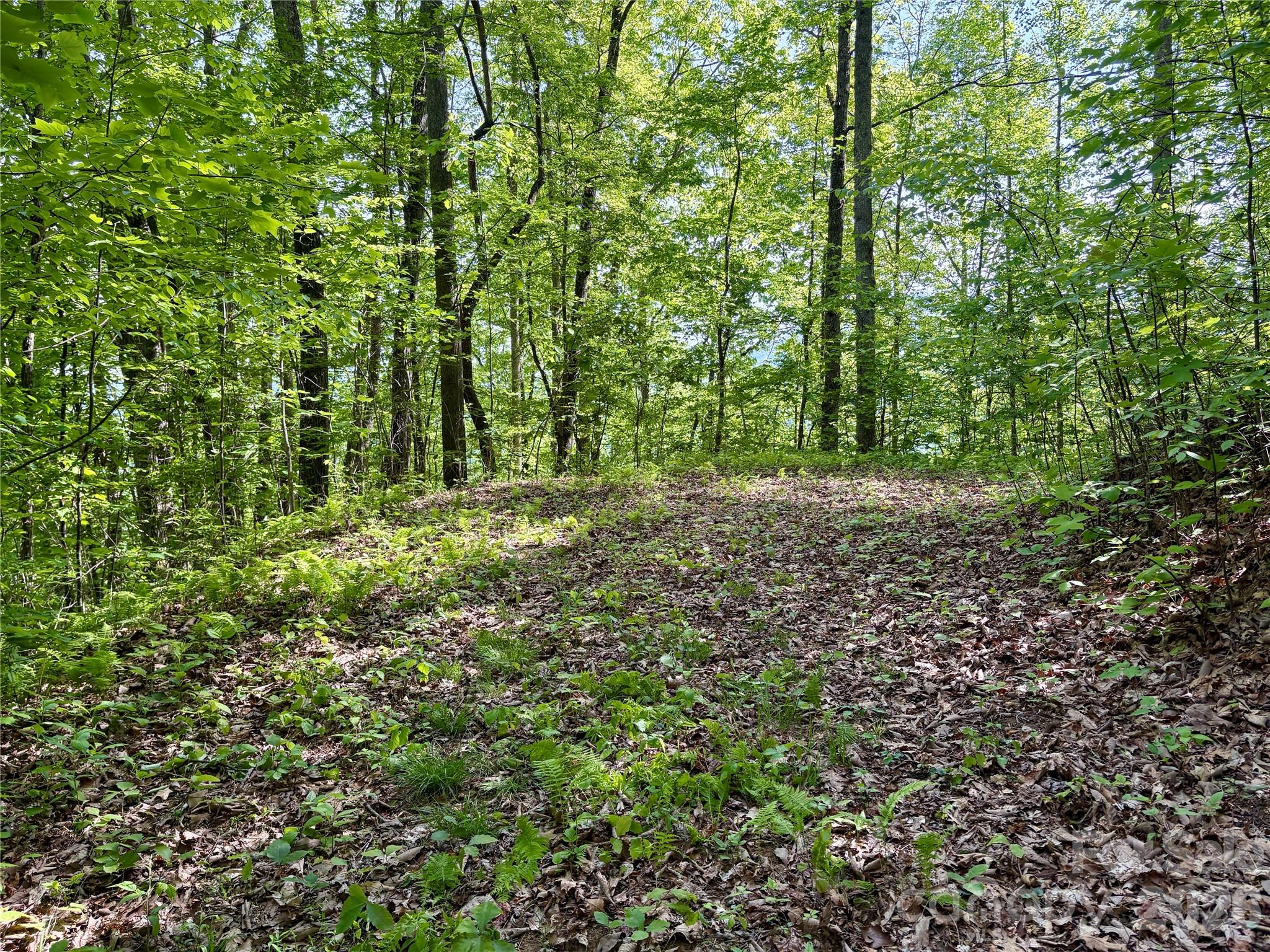 Acreage at 0 Carpenter Road, Bryson City, photo 26 of 32