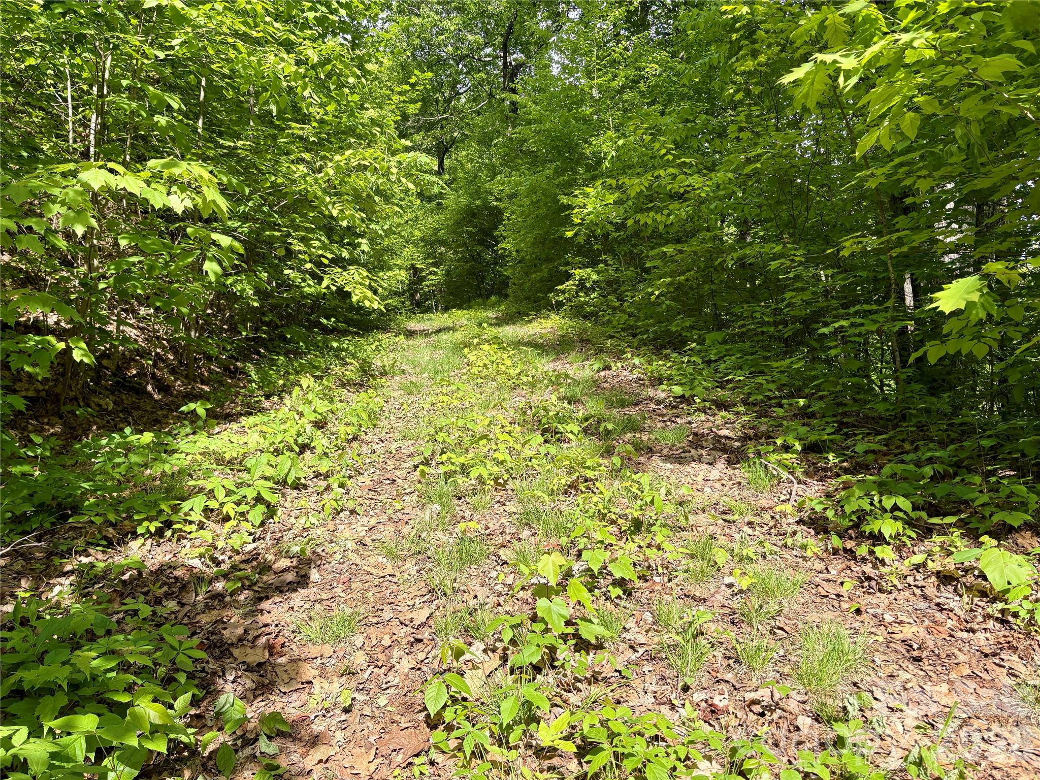 Acreage at 0 Carpenter Road, Bryson City, photo 27 of 32