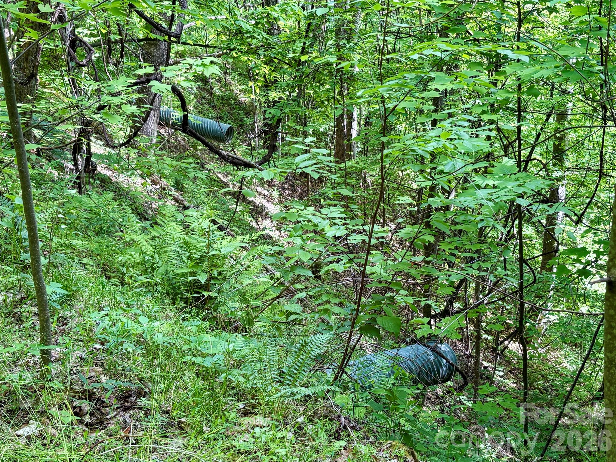 Acreage at 0 Carpenter Road, Bryson City, photo 29 of 32