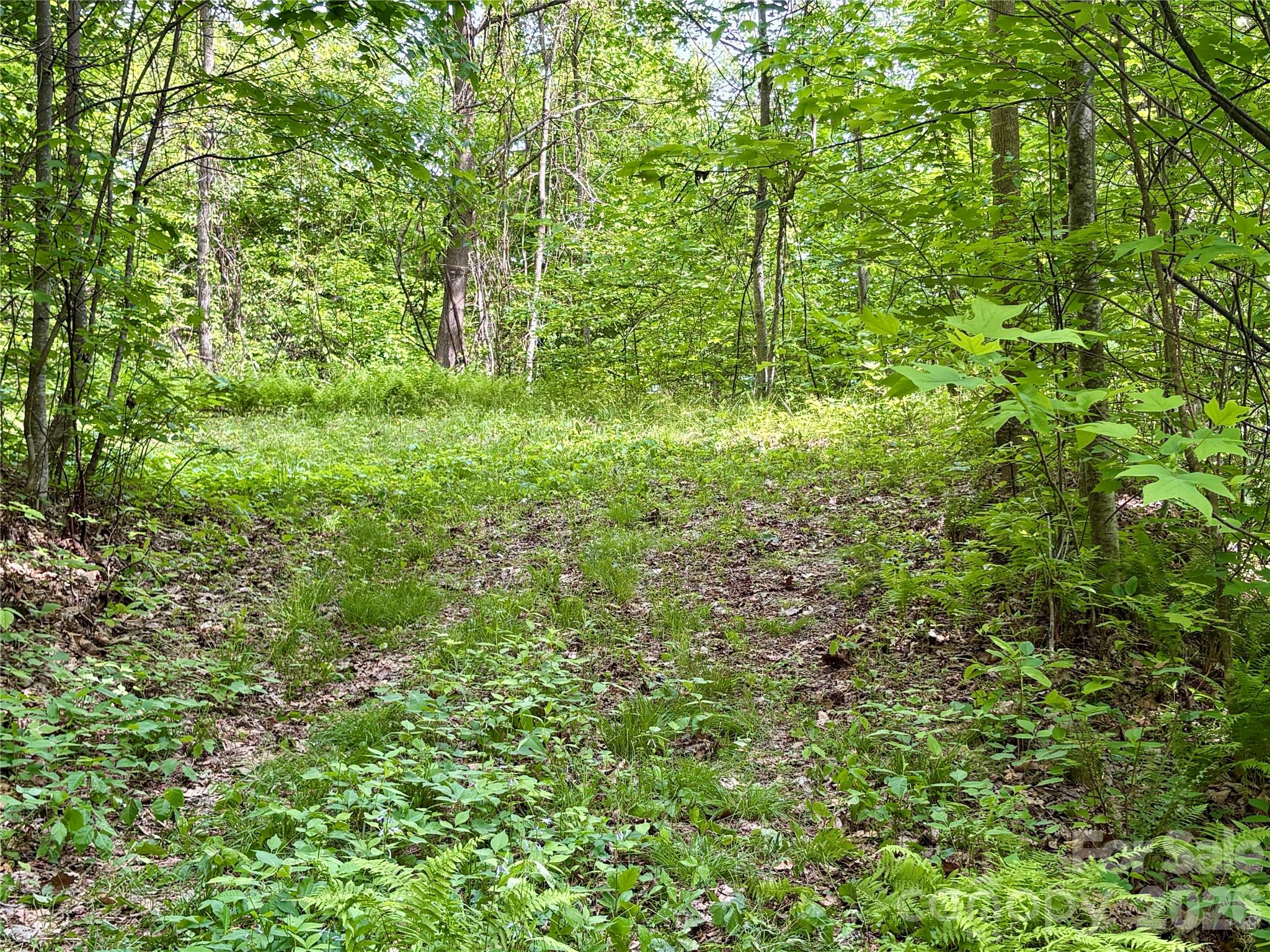 Acreage at 0 Carpenter Road, Bryson City, photo 30 of 32