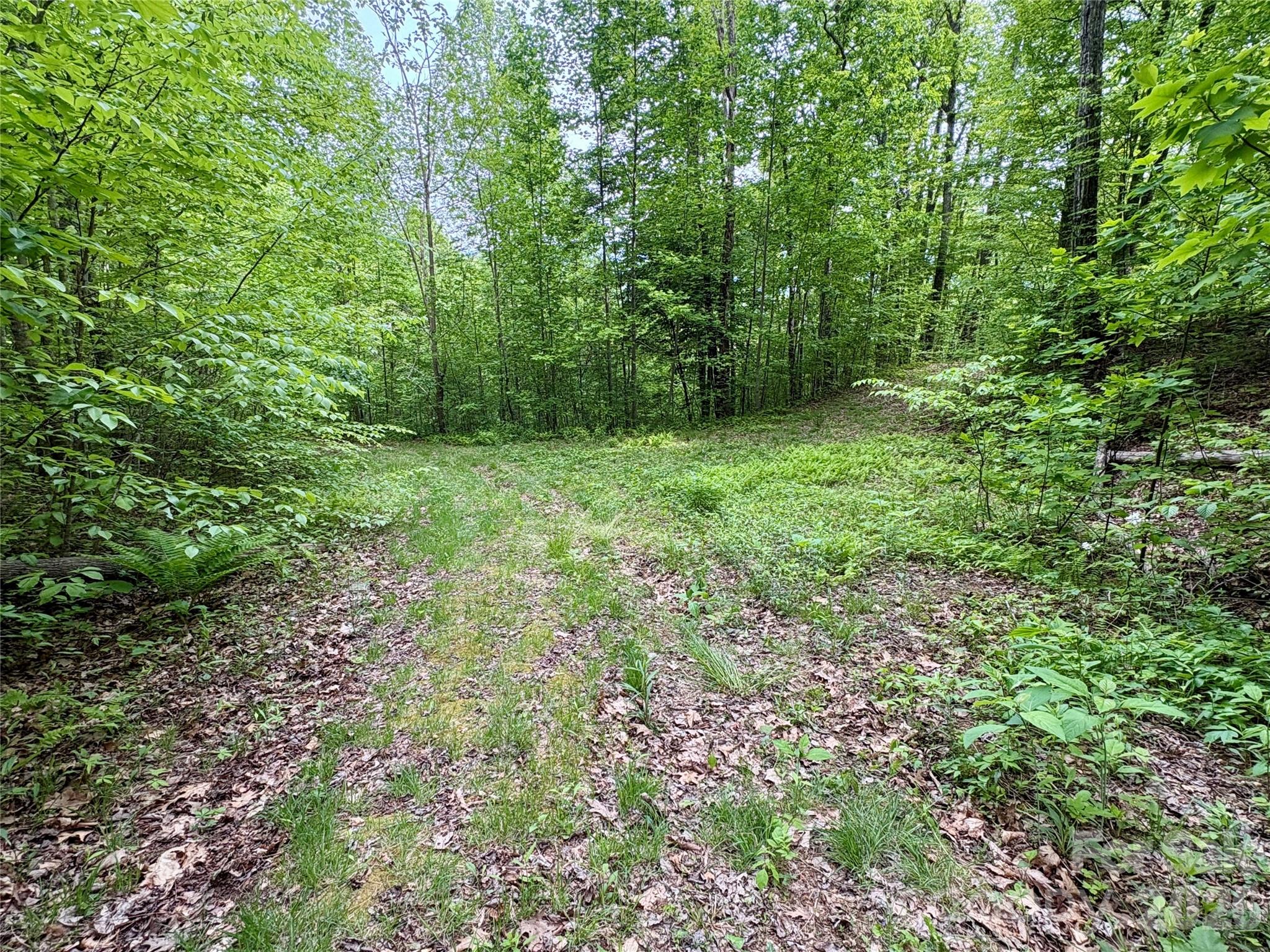 Acreage at 0 Carpenter Road, Bryson City, photo 32 of 32