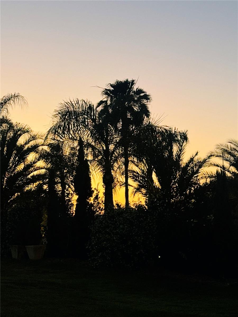 Love Palm Trees? - 300 ROYAL TROON LOOP, DAVENPORT