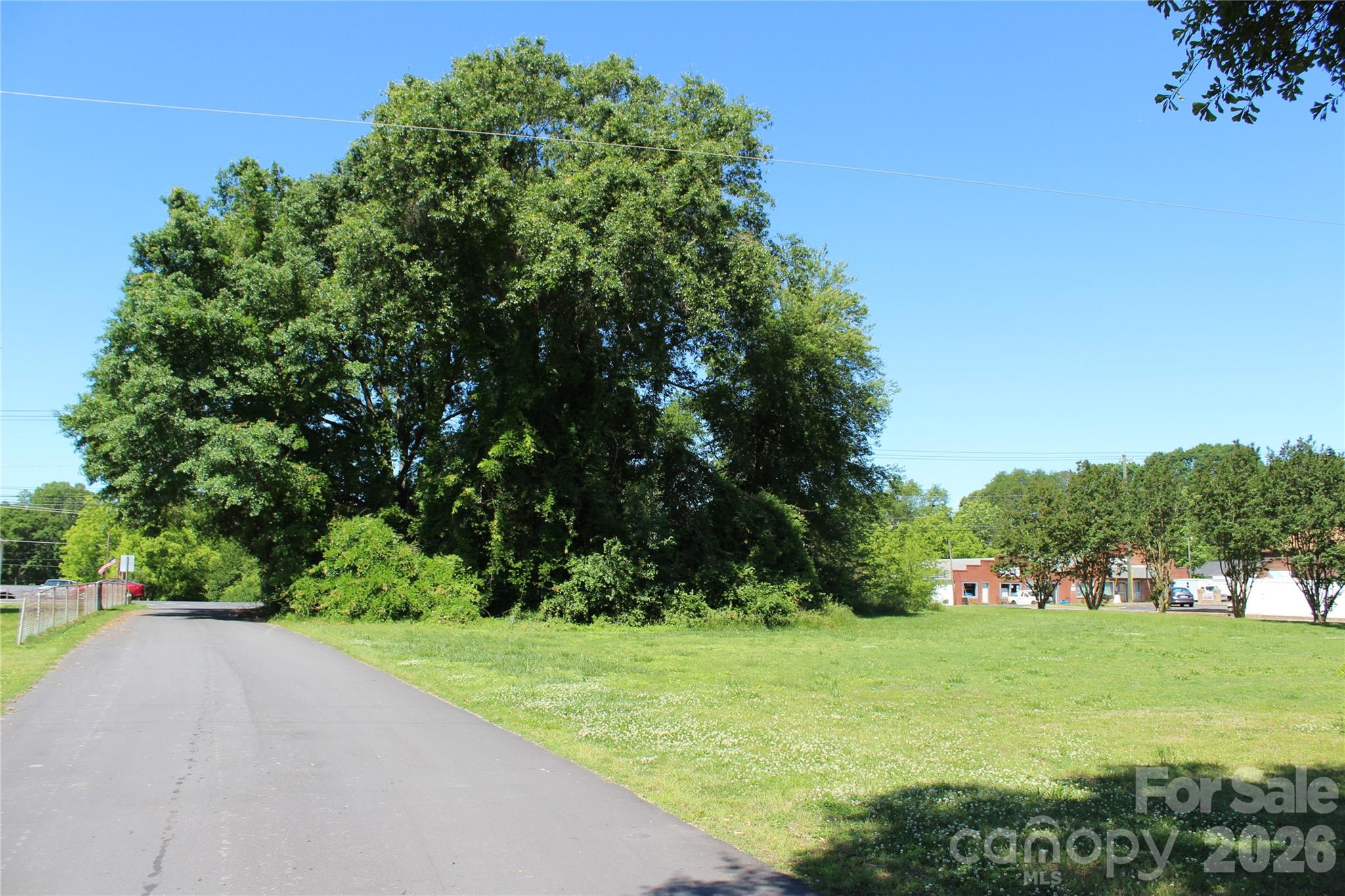 Unimproved Commercial at 617 US 221 Highway, Rutherfordton, photo 6 of 21
