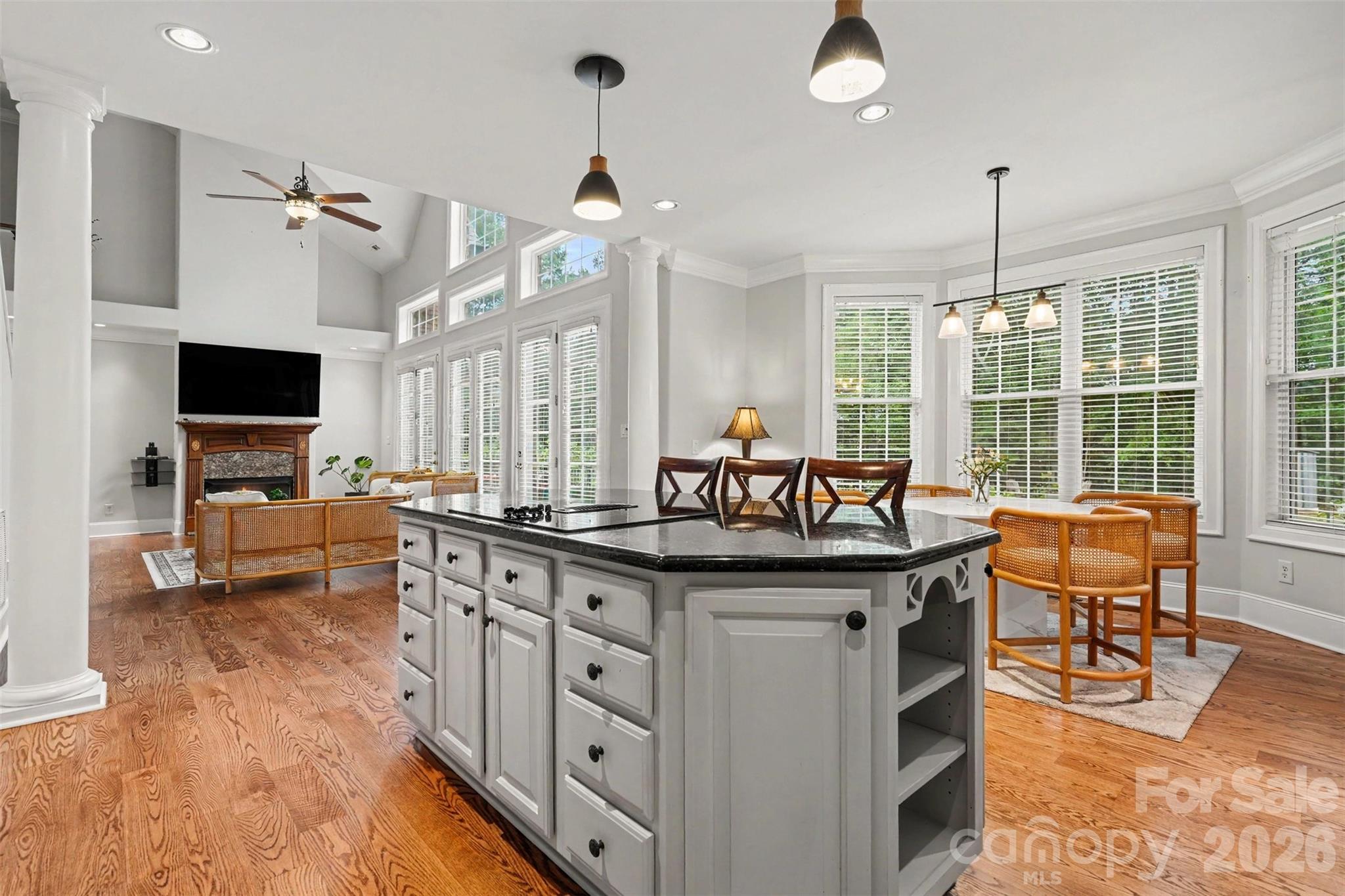 Single Family Residence at 14515 Davis Trace Drive, Mint Hill, photo 8 of 36