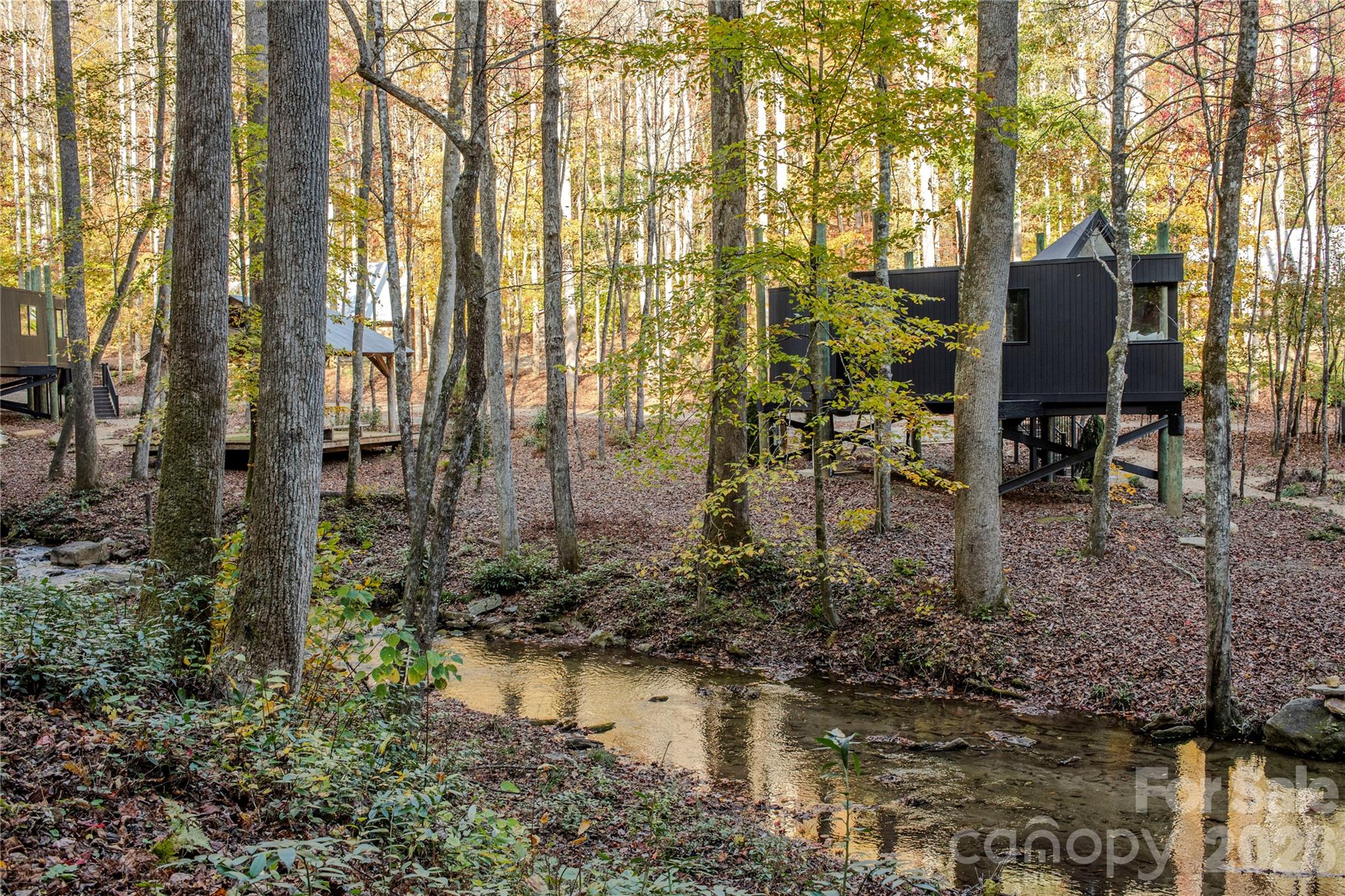N/A at 195 Still Waters Lane, Brevard, photo 4 of 54