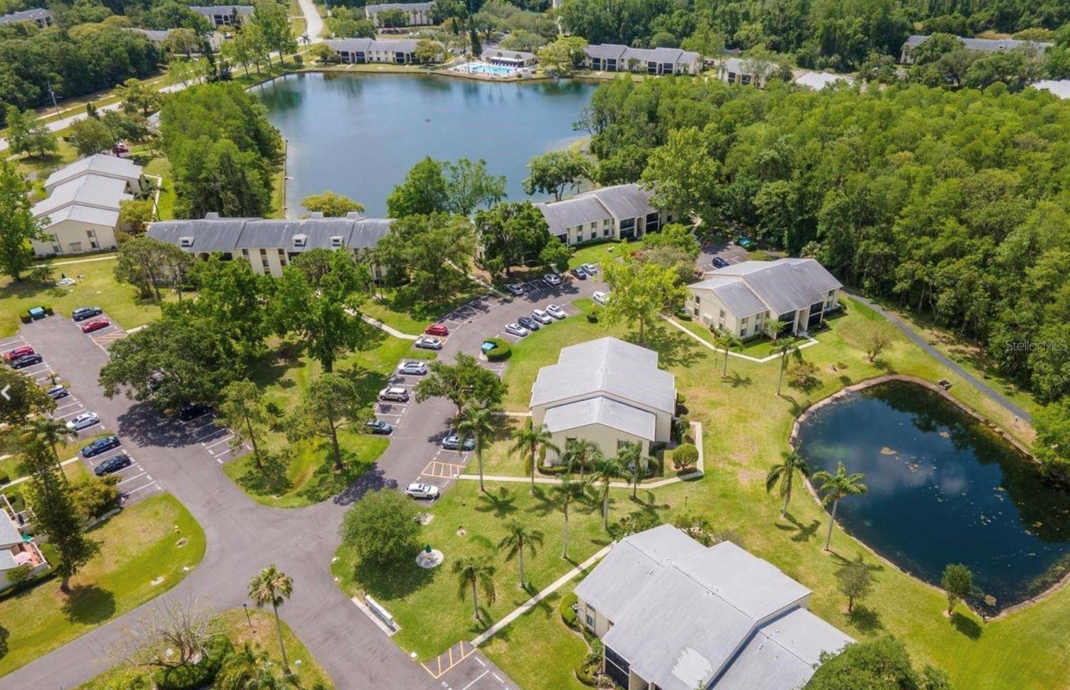 Condominium at 3211 LAKE PINE WAY E #A1, TARPON SPRINGS, photo 41 of 42