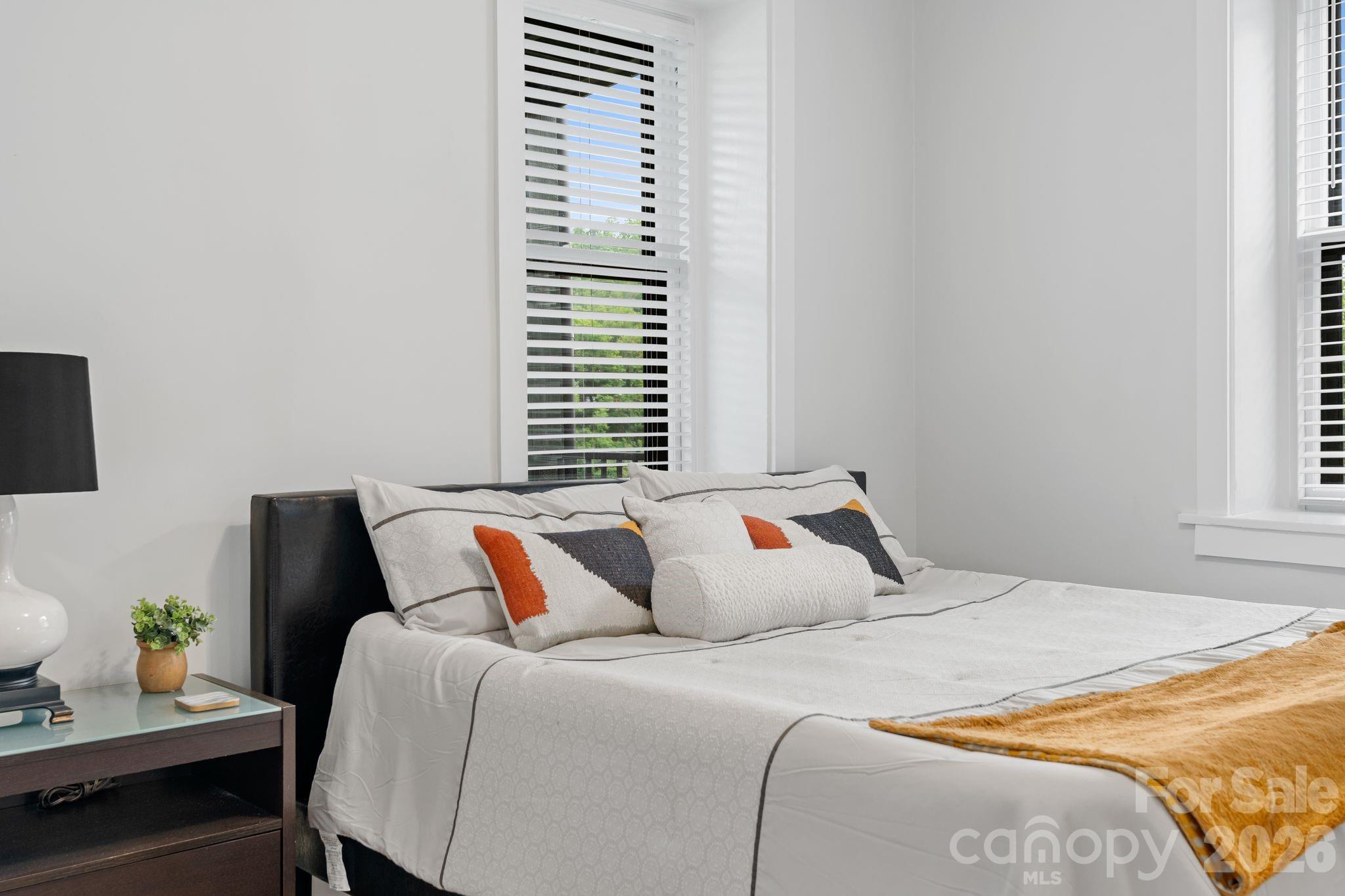 Condominium at 134 Biltmore Avenue, Asheville, photo 18 of 46