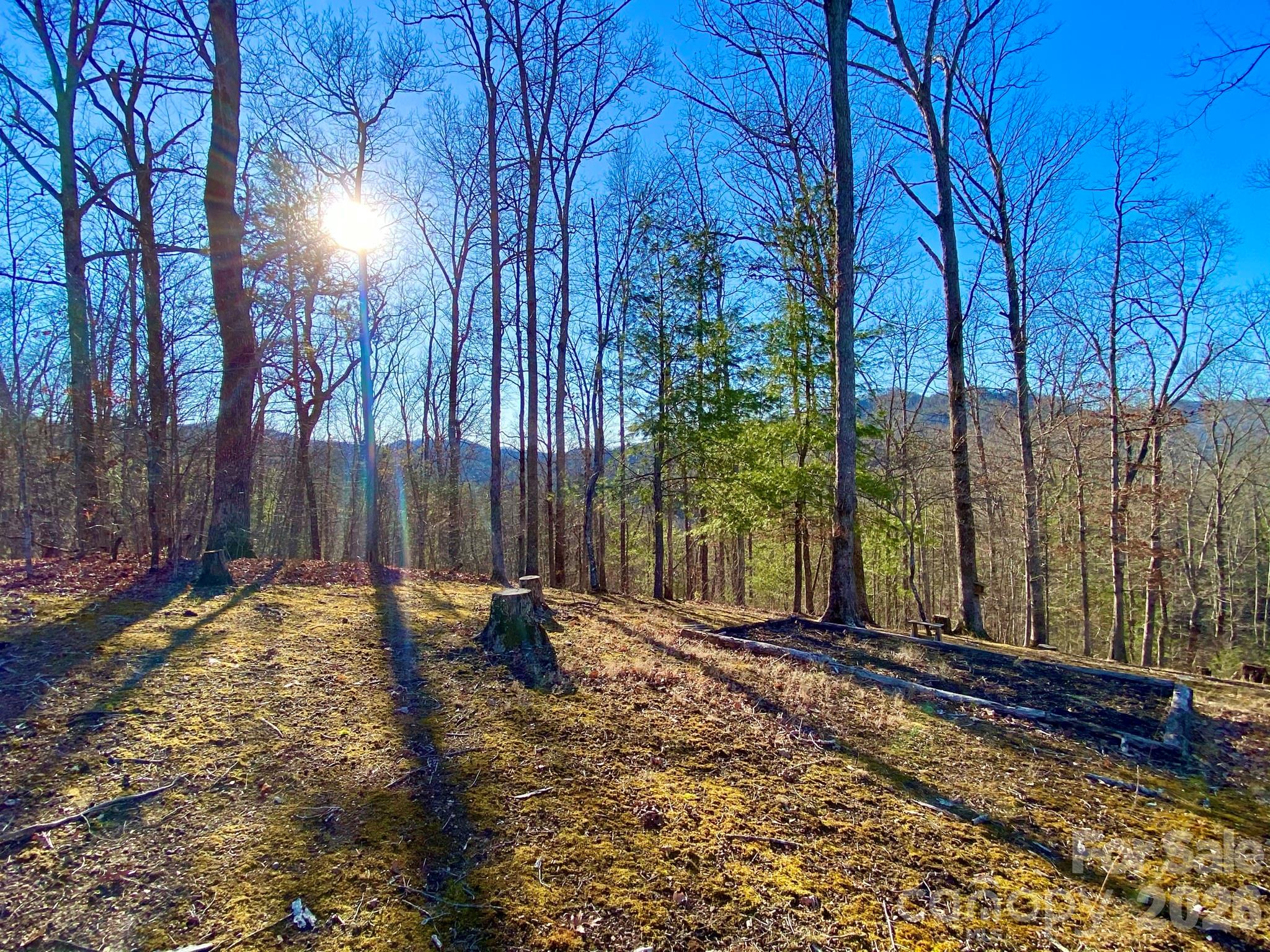 Level Land For Homesteading - 288 Rebel Drive, Hot Springs