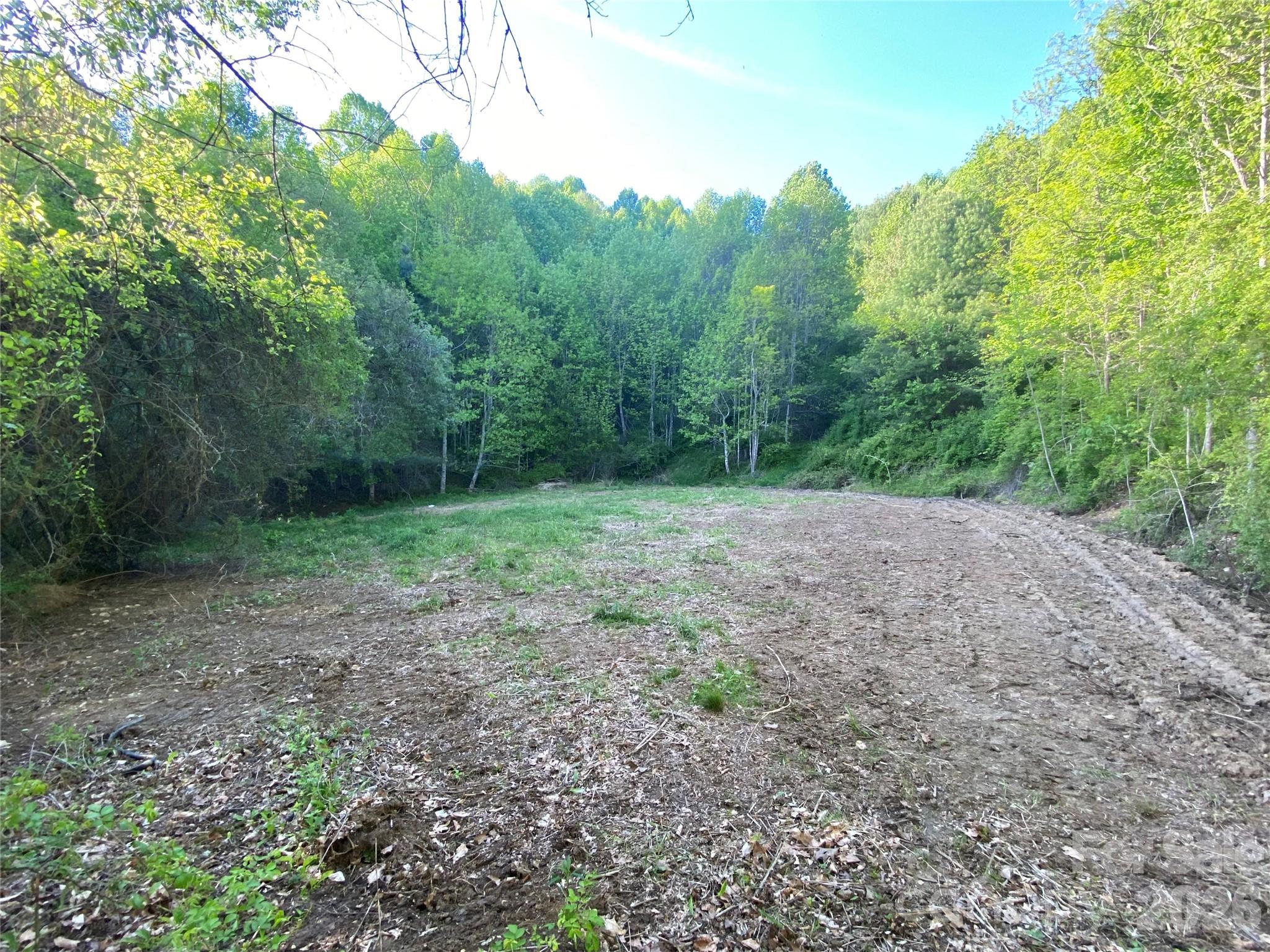 Unimproved Commercial at 99999 US 23 Highway, Mars Hill, photo 6 of 15