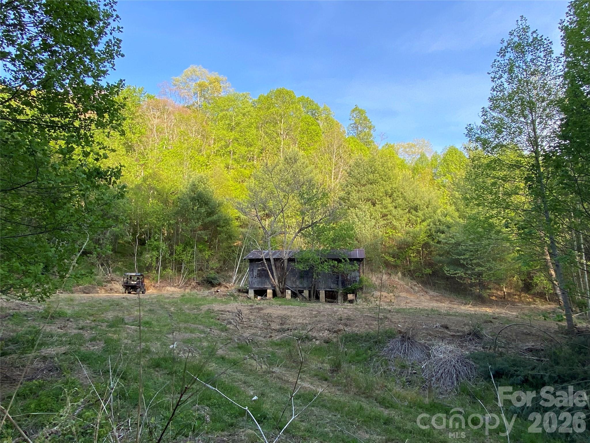 Unimproved Commercial at 99999 US 23 Highway, Mars Hill, photo 14 of 15