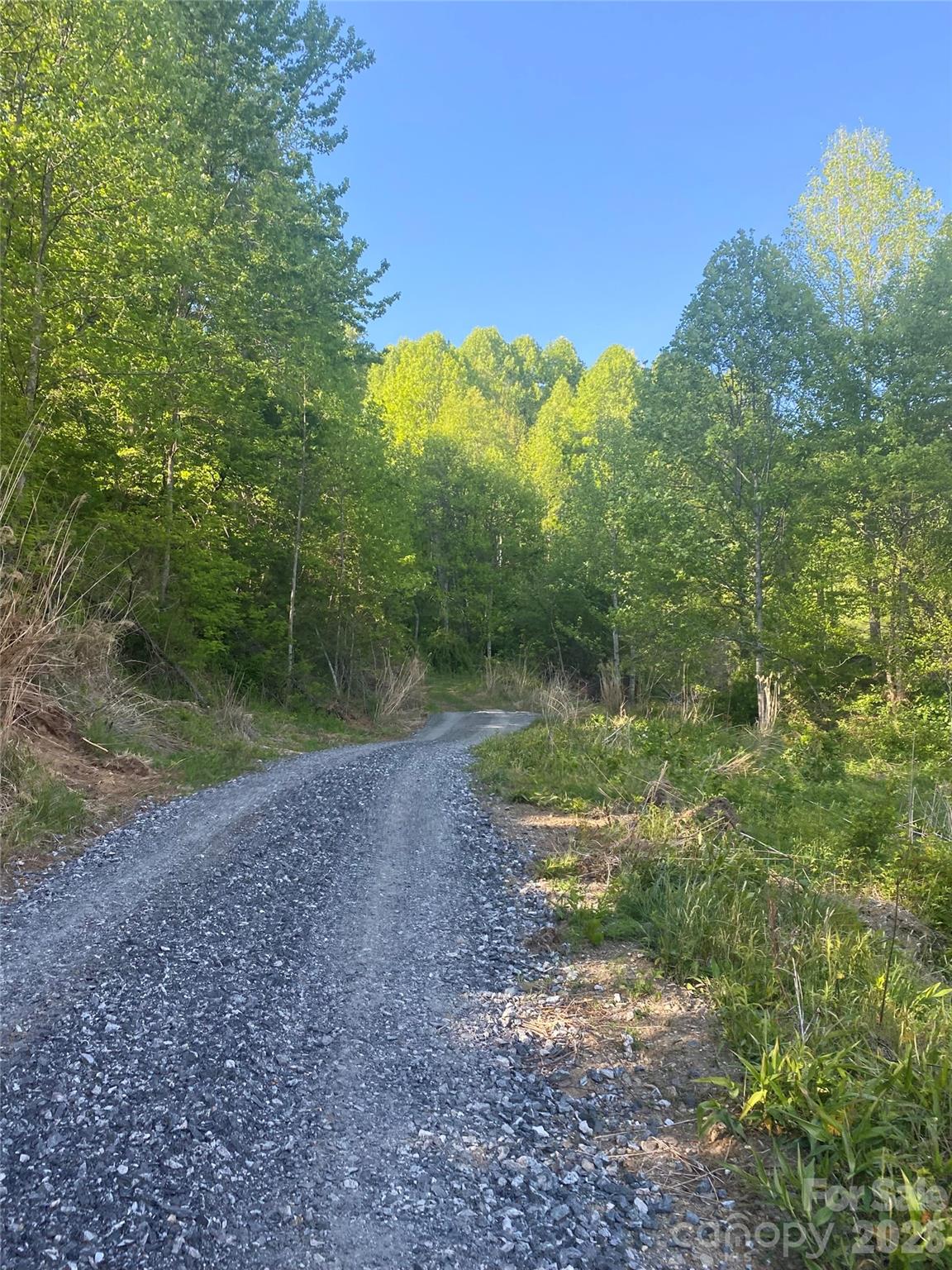Unimproved Commercial at 99999 US 23 Highway, Mars Hill, photo 15 of 15