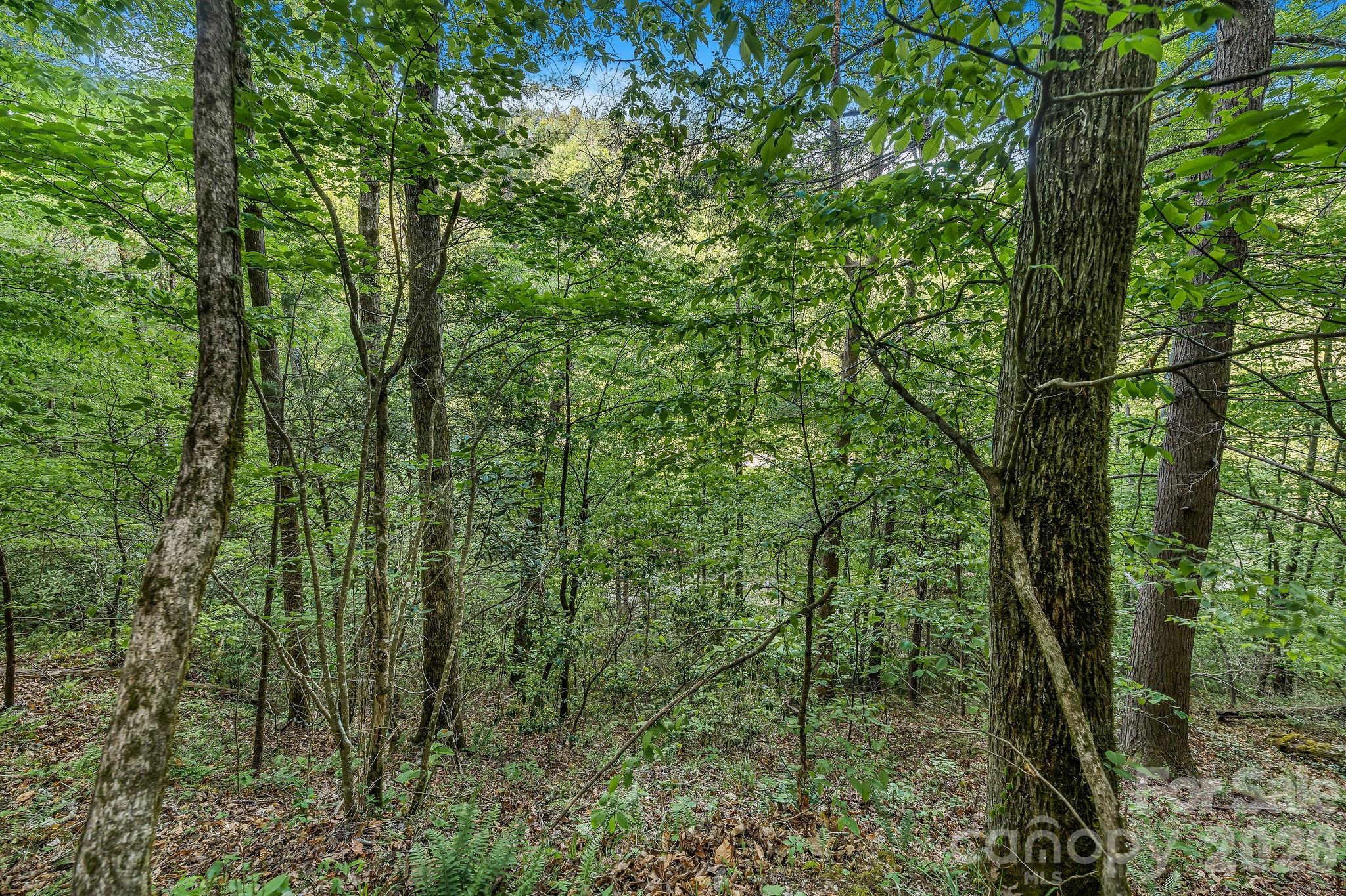 Acreage at 31 Caddis Court, Marshall, photo 5 of 38