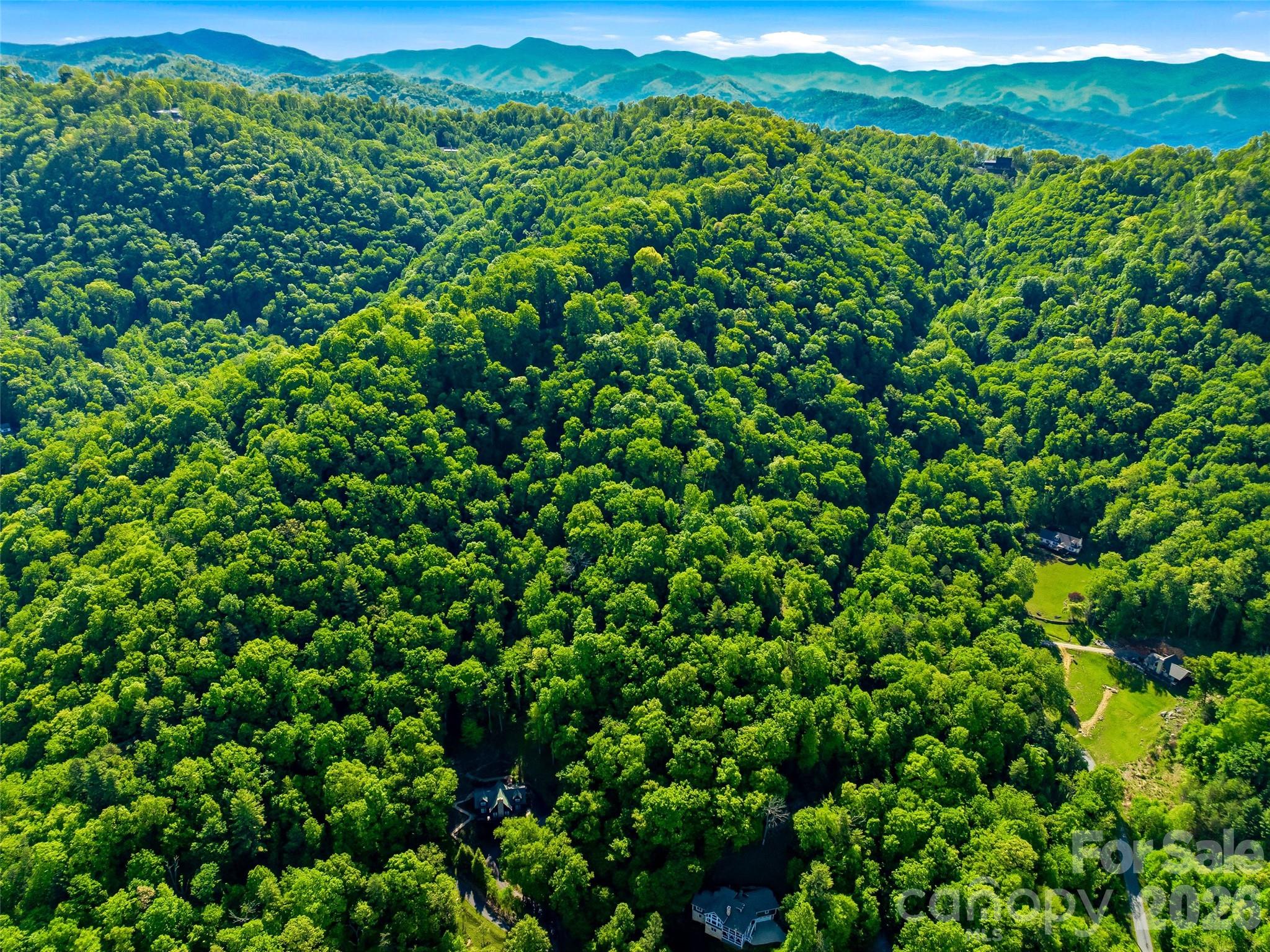Within Seven Glens Neighborhood - 948 Cove Creek Lane, Mars Hill