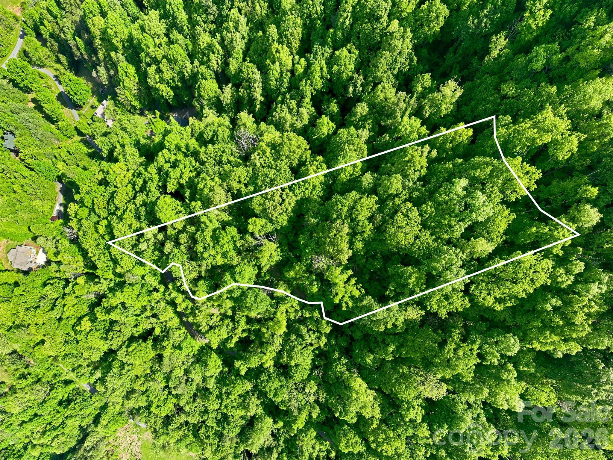 Lot at 948 Cove Creek Lane, Mars Hill, photo 10 of 23
