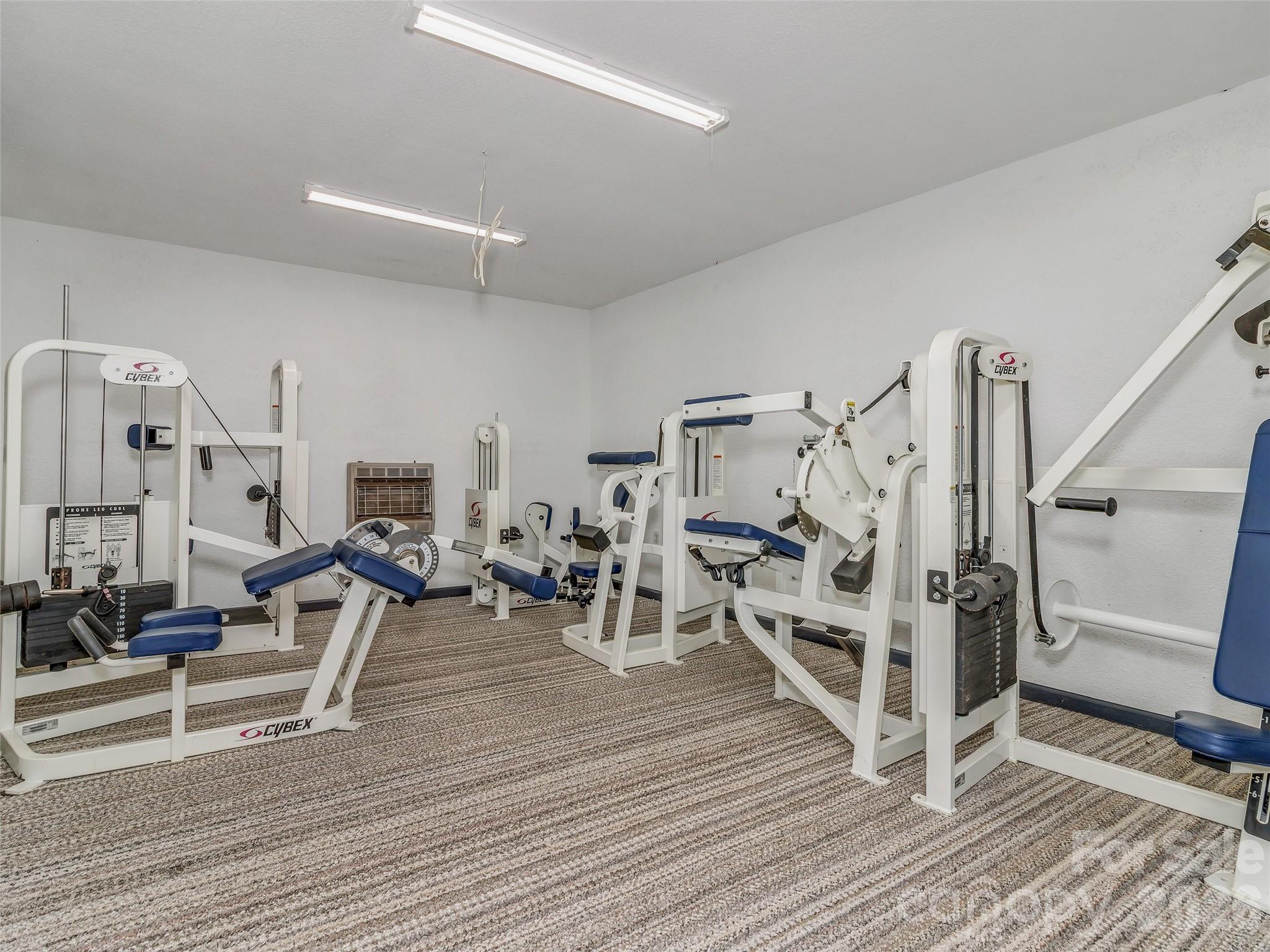 Gym - 287 Shady Creek Lane, Hendersonville