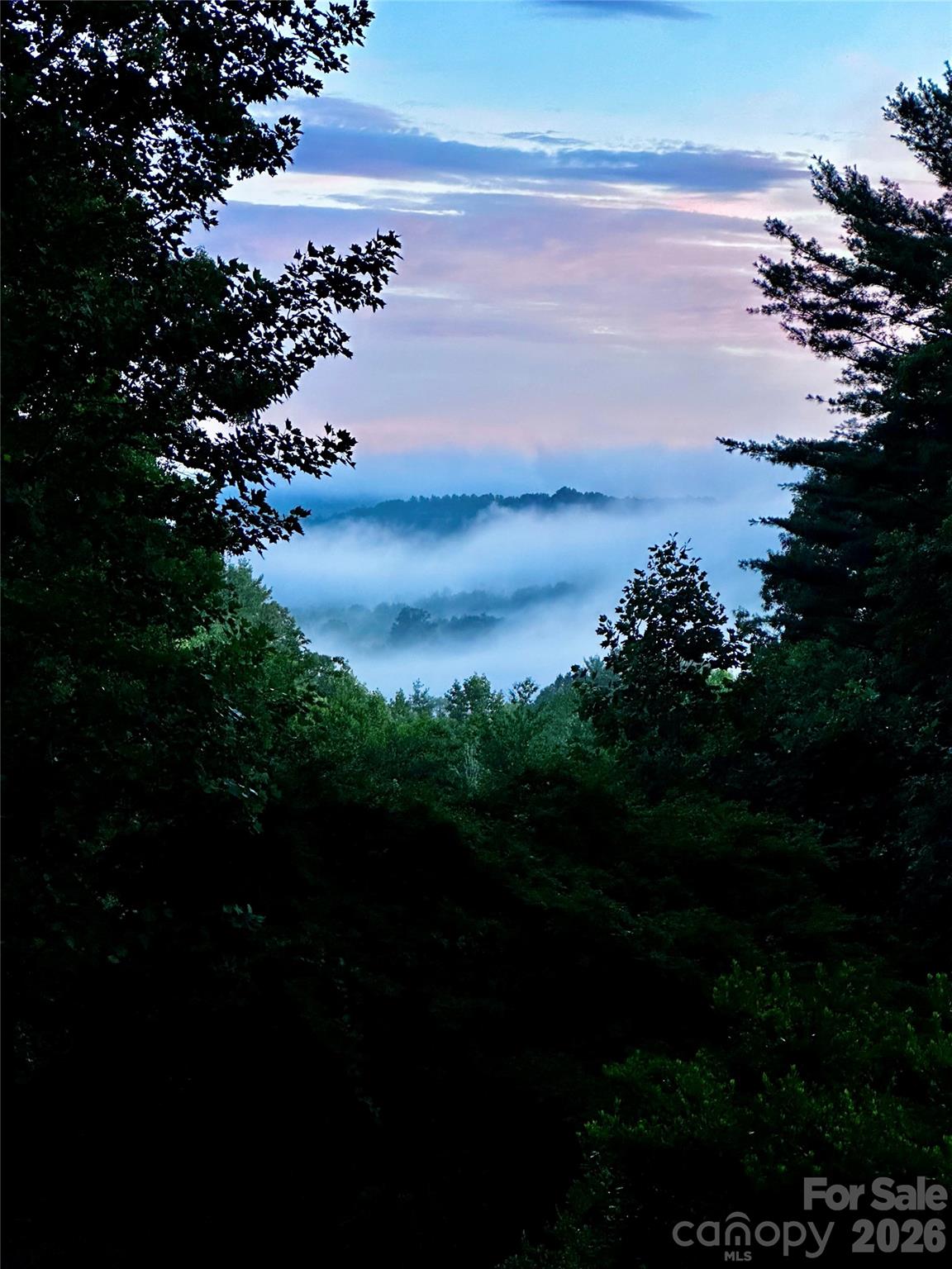Gorgeous early morning view off front porch! - 287 Shady Creek Lane, Hendersonville