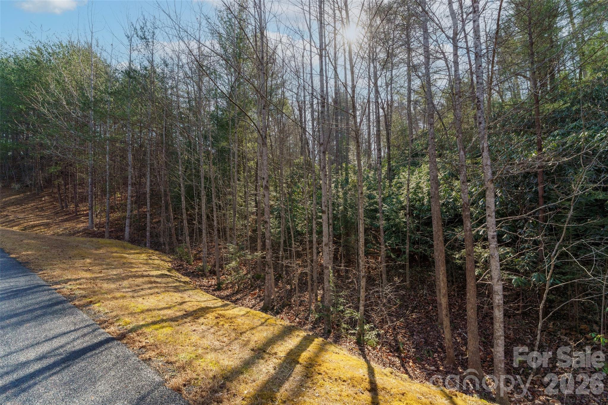 Lot at 265 Harborside Drive, Nebo, photo 3 of 11