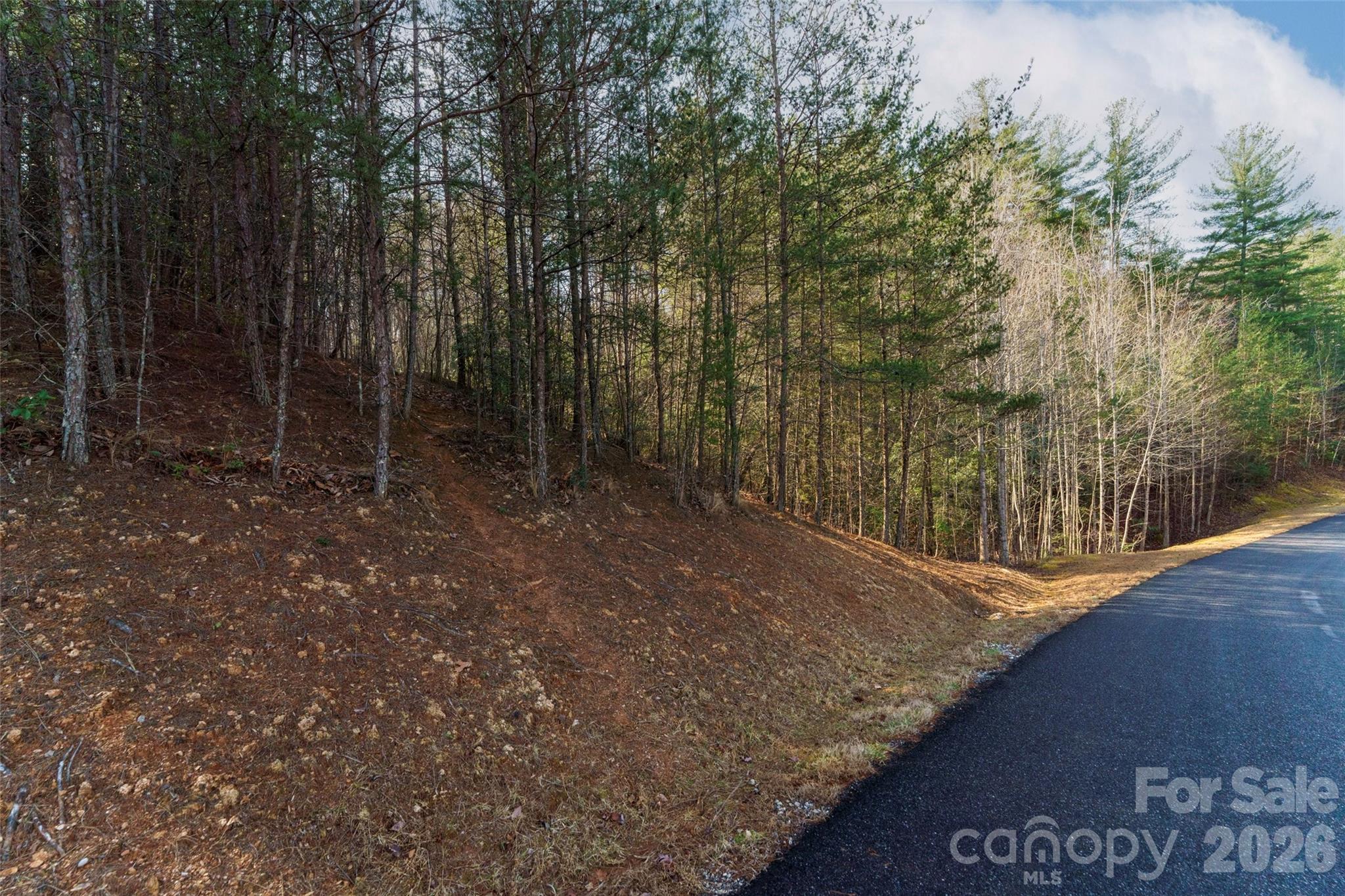 Lot at 265 Harborside Drive, Nebo, photo 4 of 11