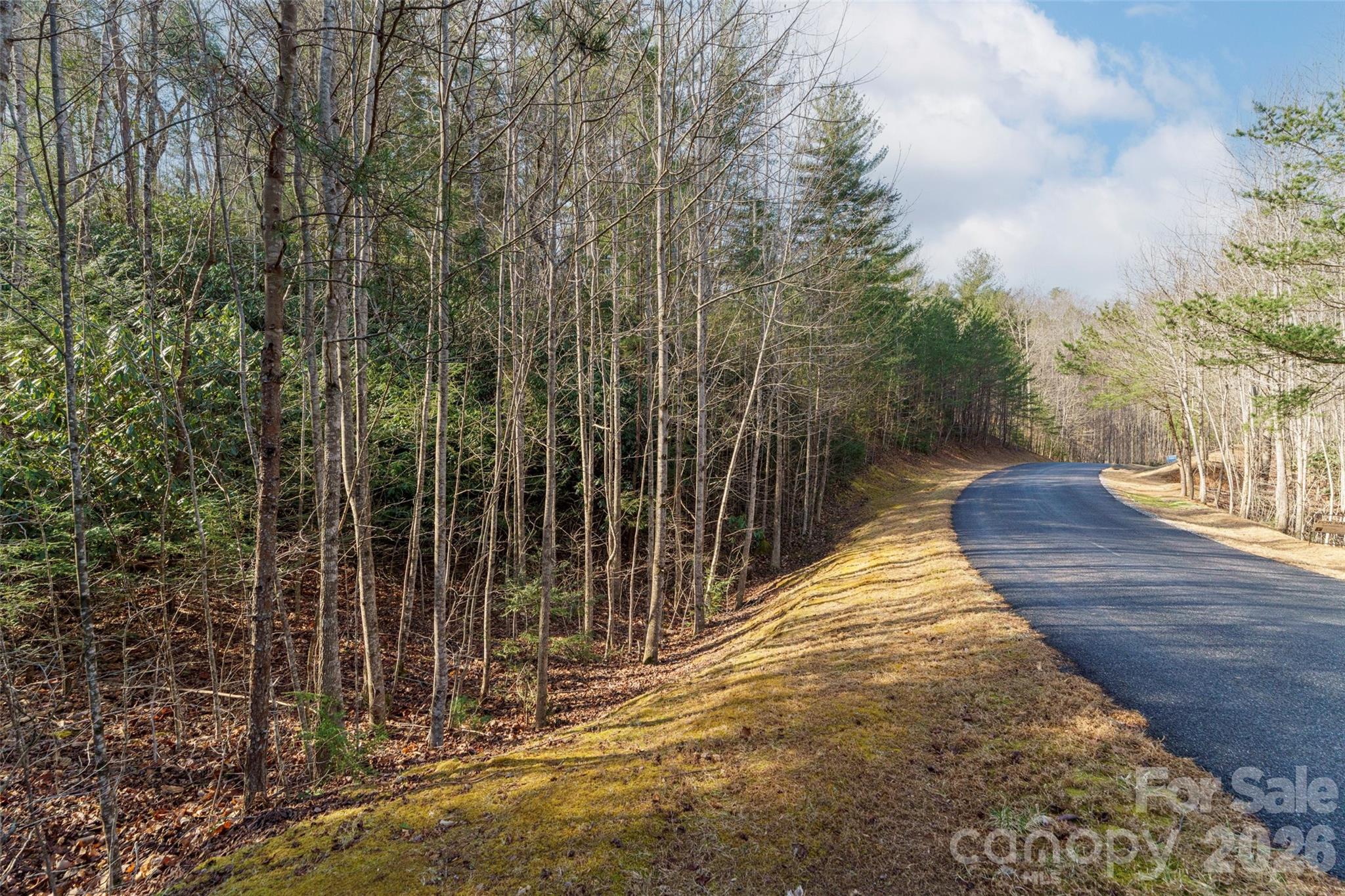 Lot at 265 Harborside Drive, Nebo, photo 6 of 11