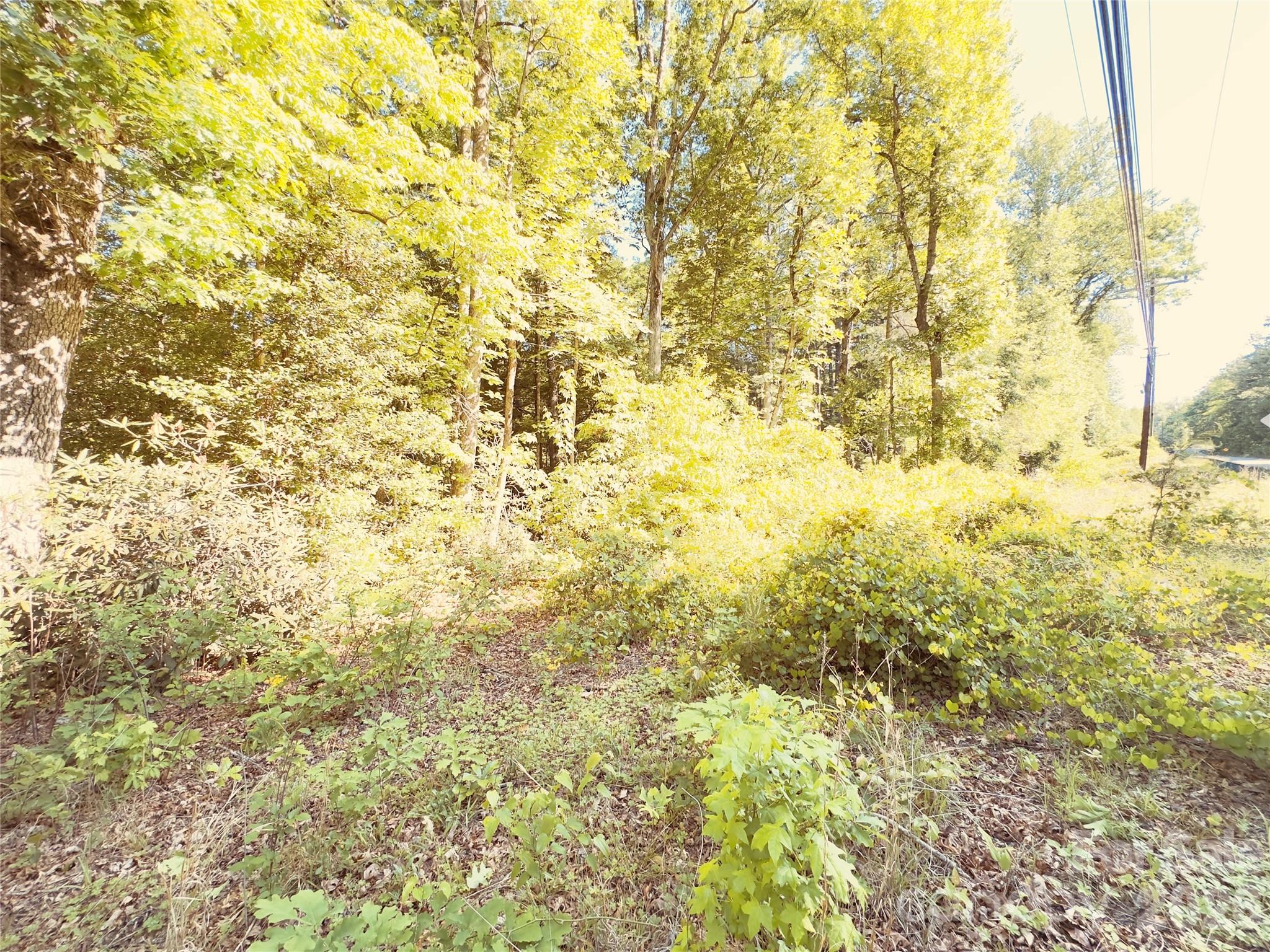 Acreage at 00 Cedar Brook Lane, Nebo, photo 2 of 2