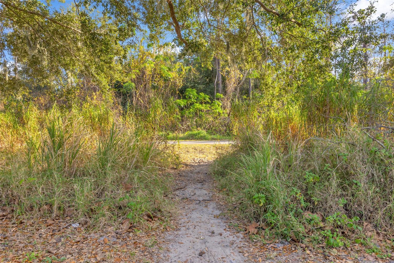 short cut to Orange trail just 5 min from the property - 906 ALLENDALE LN, OAKLAND