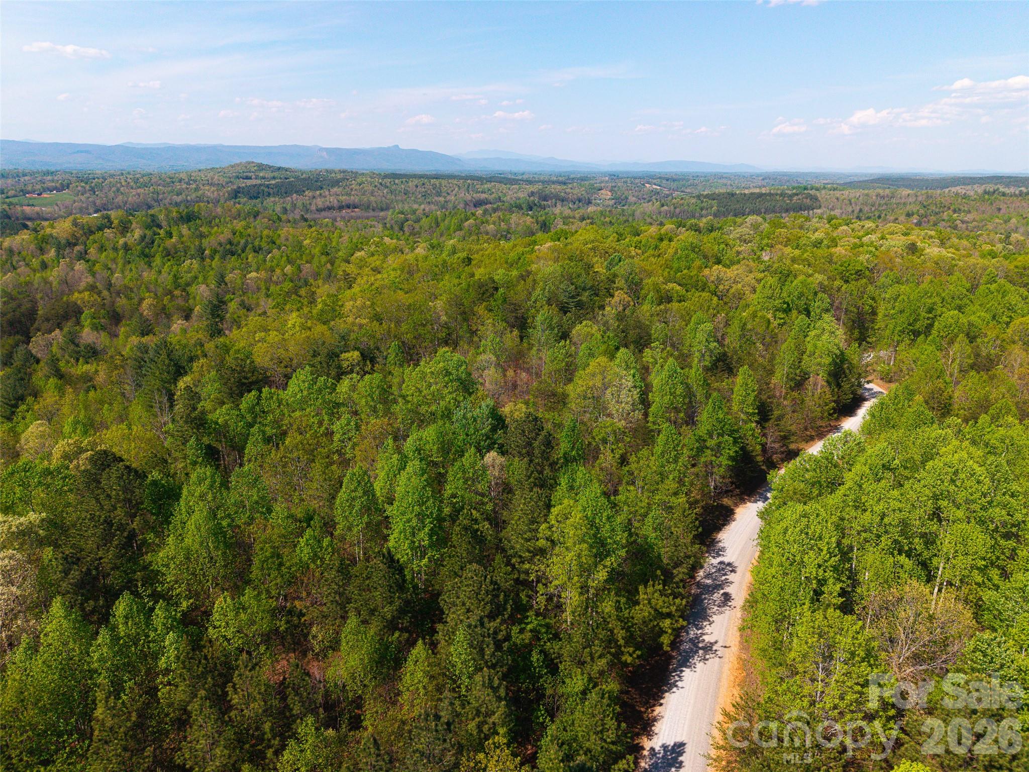 Lot at 0 Darrow Drive, Nebo, photo 5 of 6