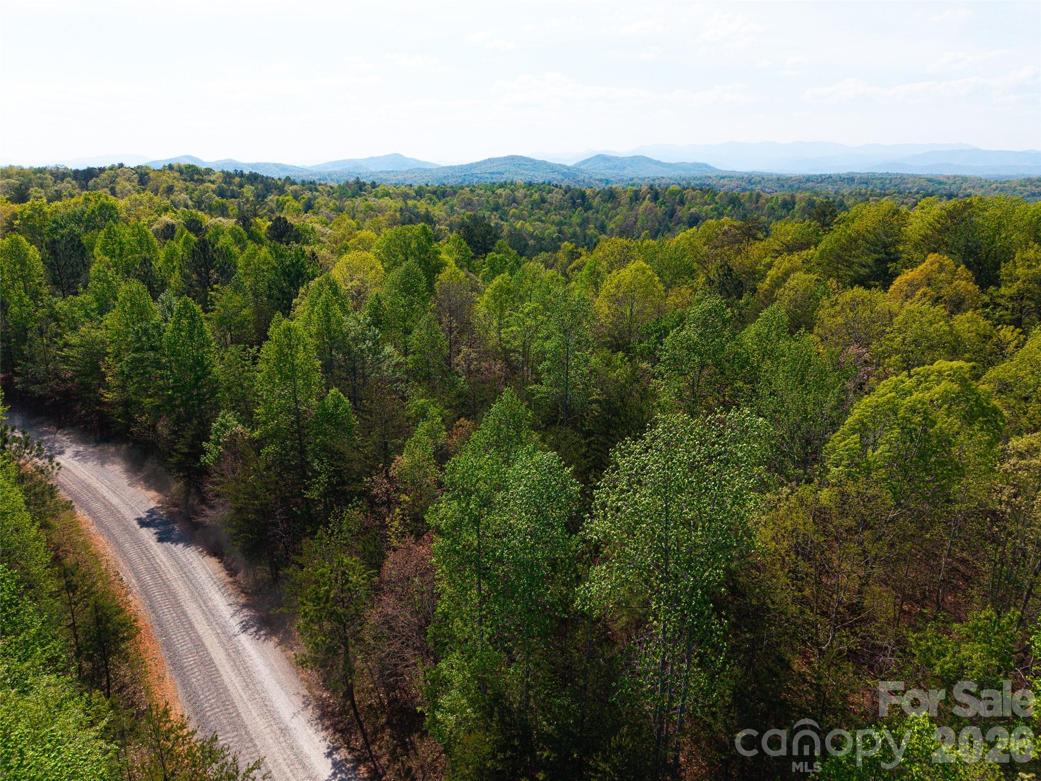 Lot at 0 Darrow Drive, Nebo, photo 6 of 6