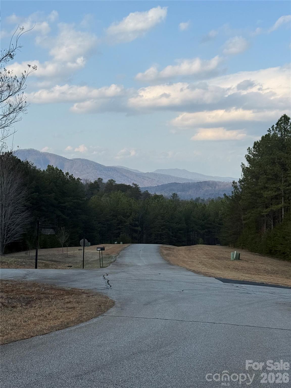 Lot at 109 Spring Hollow Road, Mill Spring, photo 2 of 8
