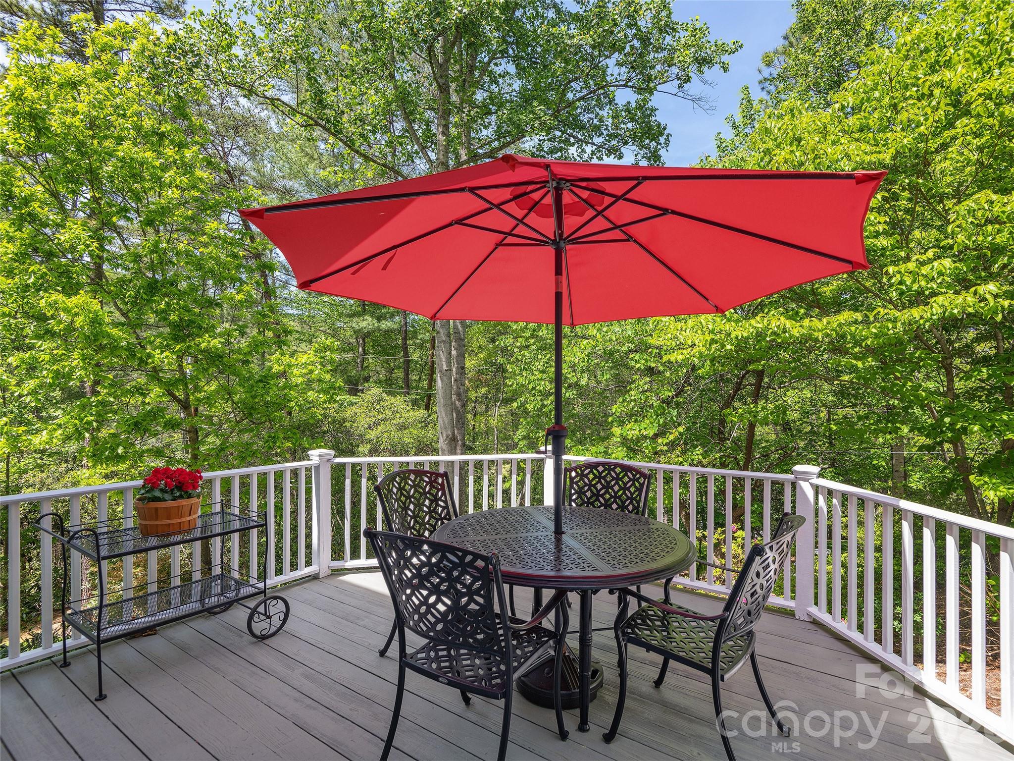 deck just painted overlooking large back yard - 81 Old Gap Creek Road, Fairview