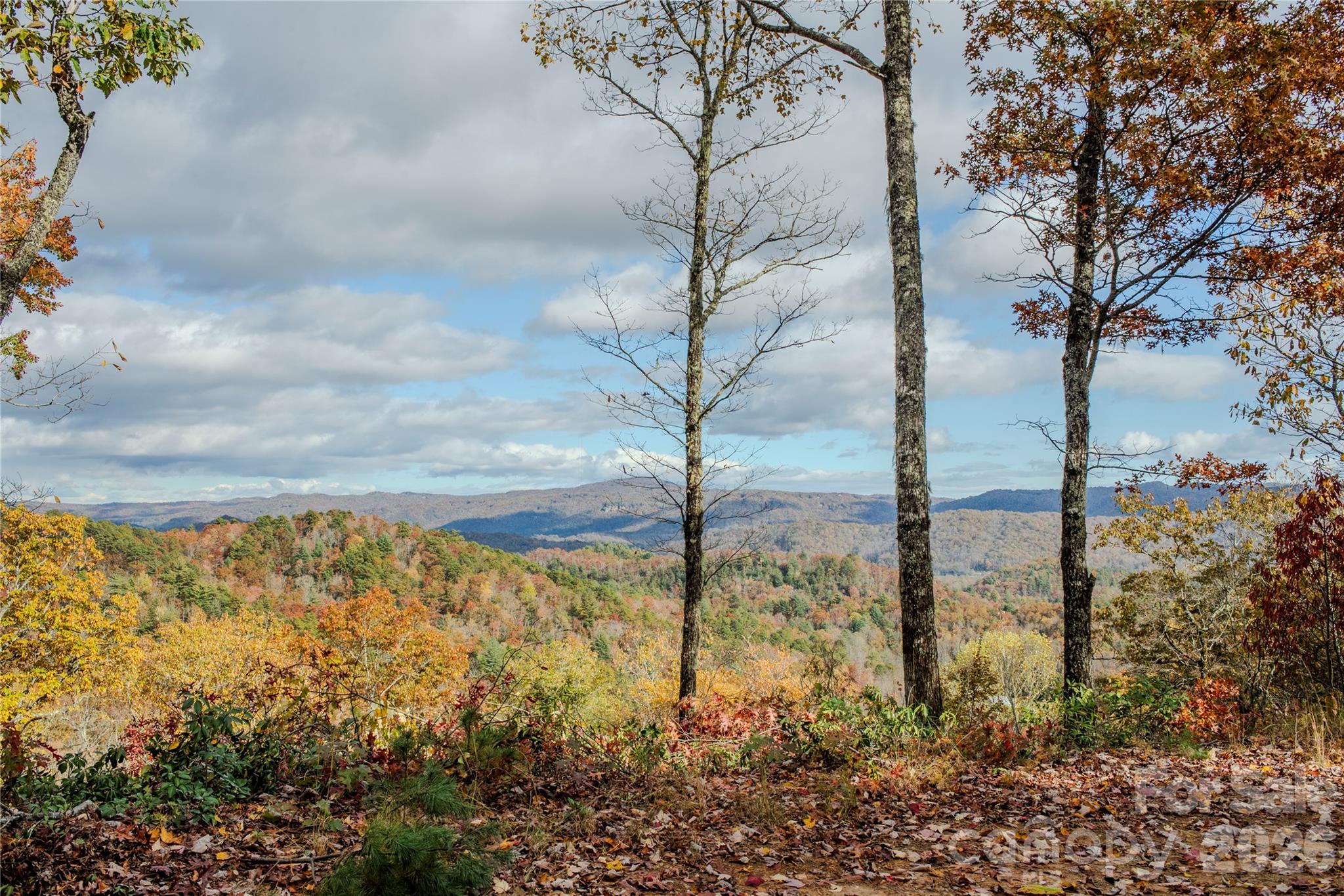 Acreage at 195 Still Waters Lane, Brevard, photo 2 of 54