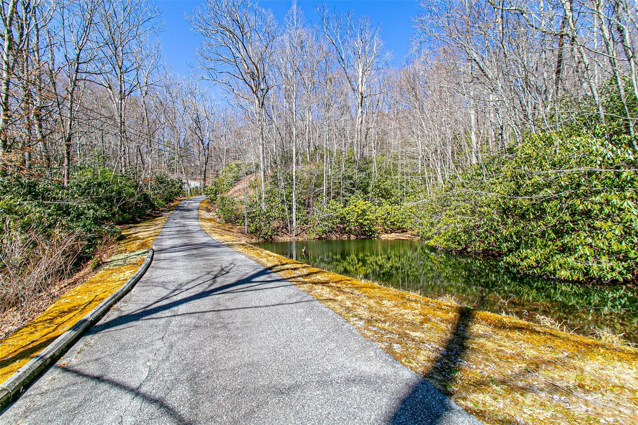 Lot at TBD Still Branch Road, Brevard
