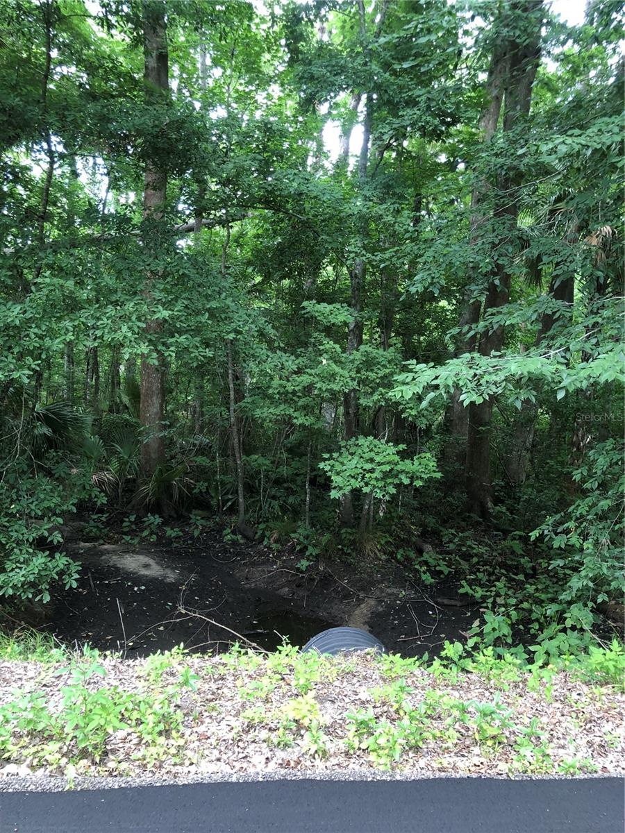 Creeks by the green poles - KEEFER TRL, KISSIMMEE