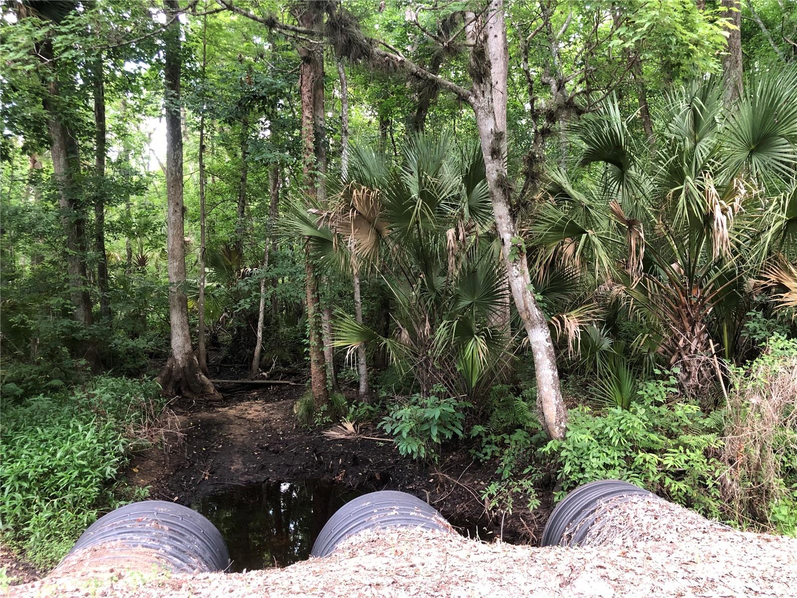 Creeks by the green poles - KEEFER TRL, KISSIMMEE