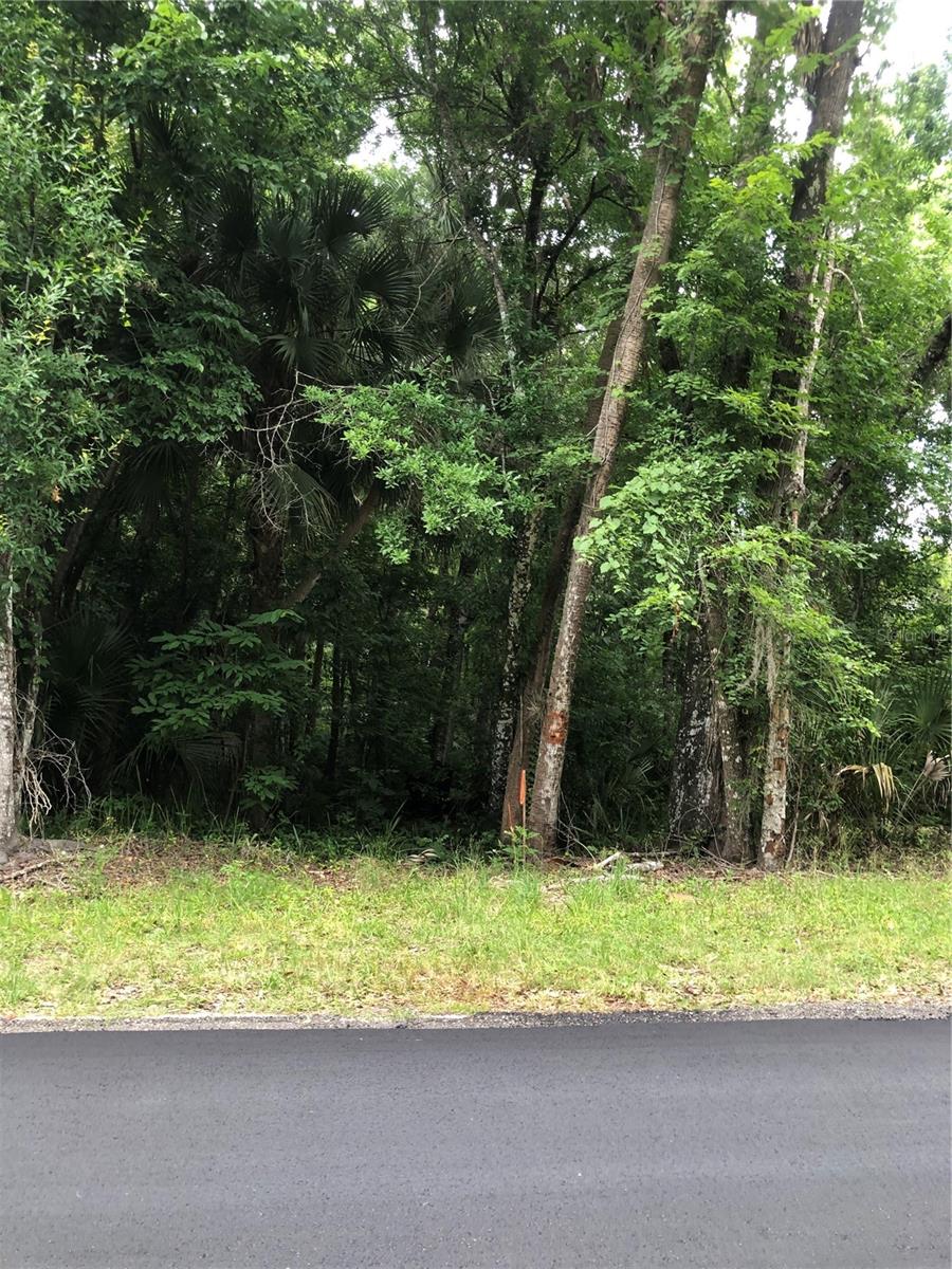 End of the right side of the lot / east side - KEEFER TRL, KISSIMMEE