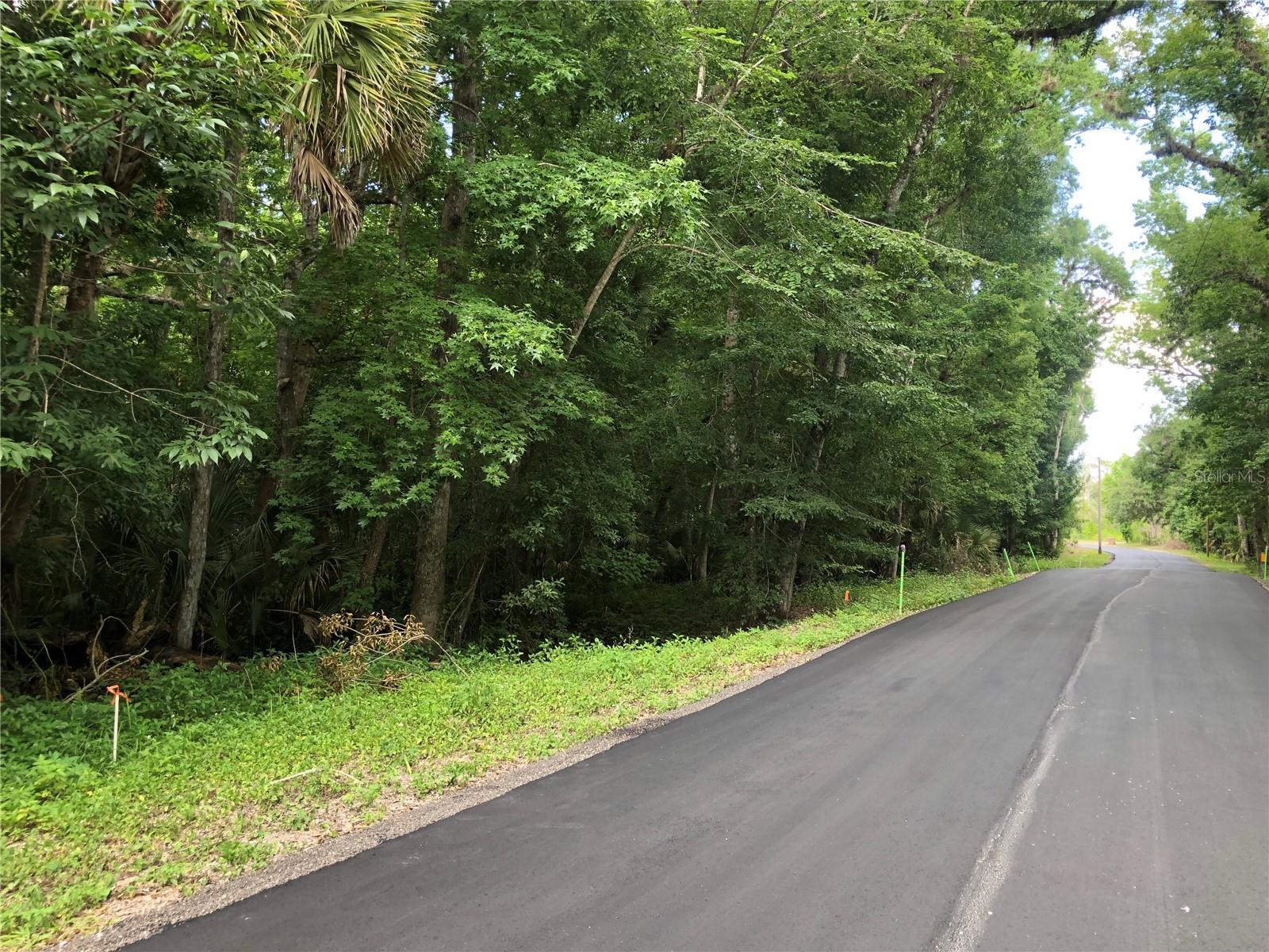 Beginning of the lot on the left side / west side. - KEEFER TRL, KISSIMMEE